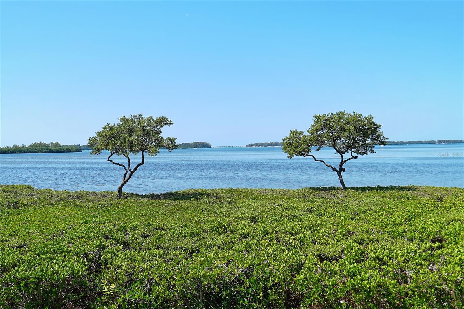 4832 INDEPENDENCE DR, BRADENTON, FL, 34210