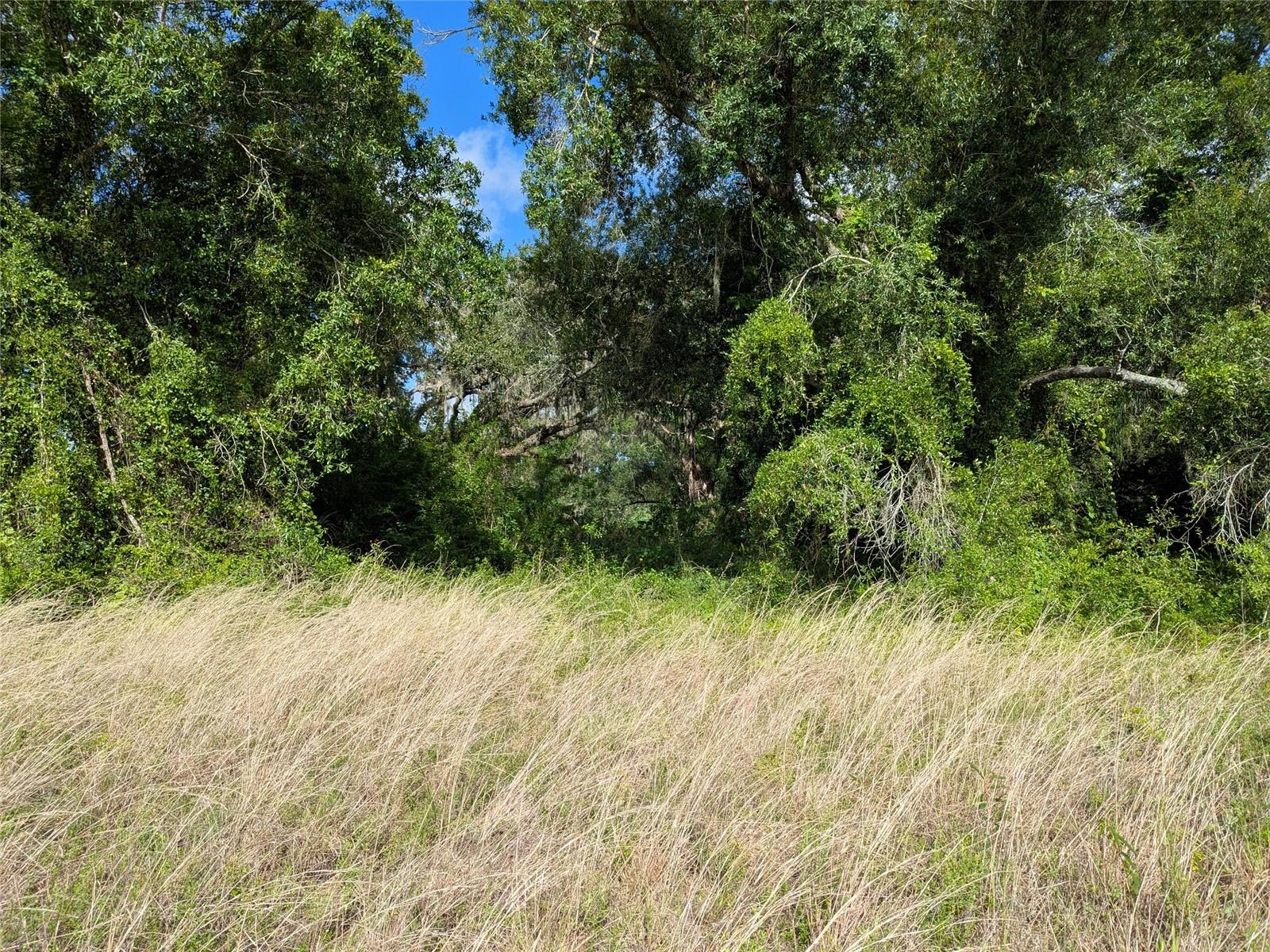 1894 SW PINO CRESTO ST, ARCADIA, FL, 34266