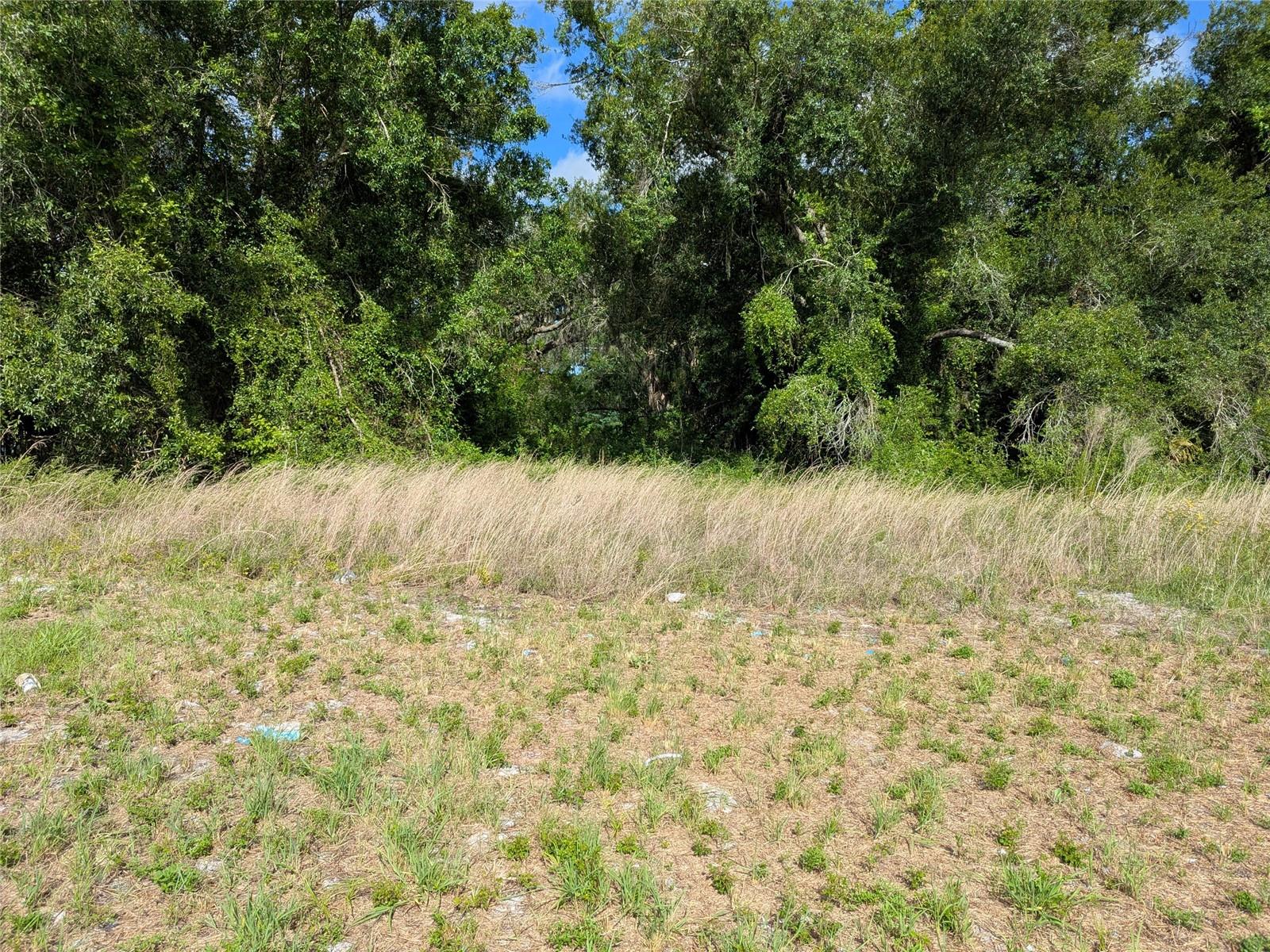 1894 SW PINO CRESTO ST, ARCADIA, FL, 34266