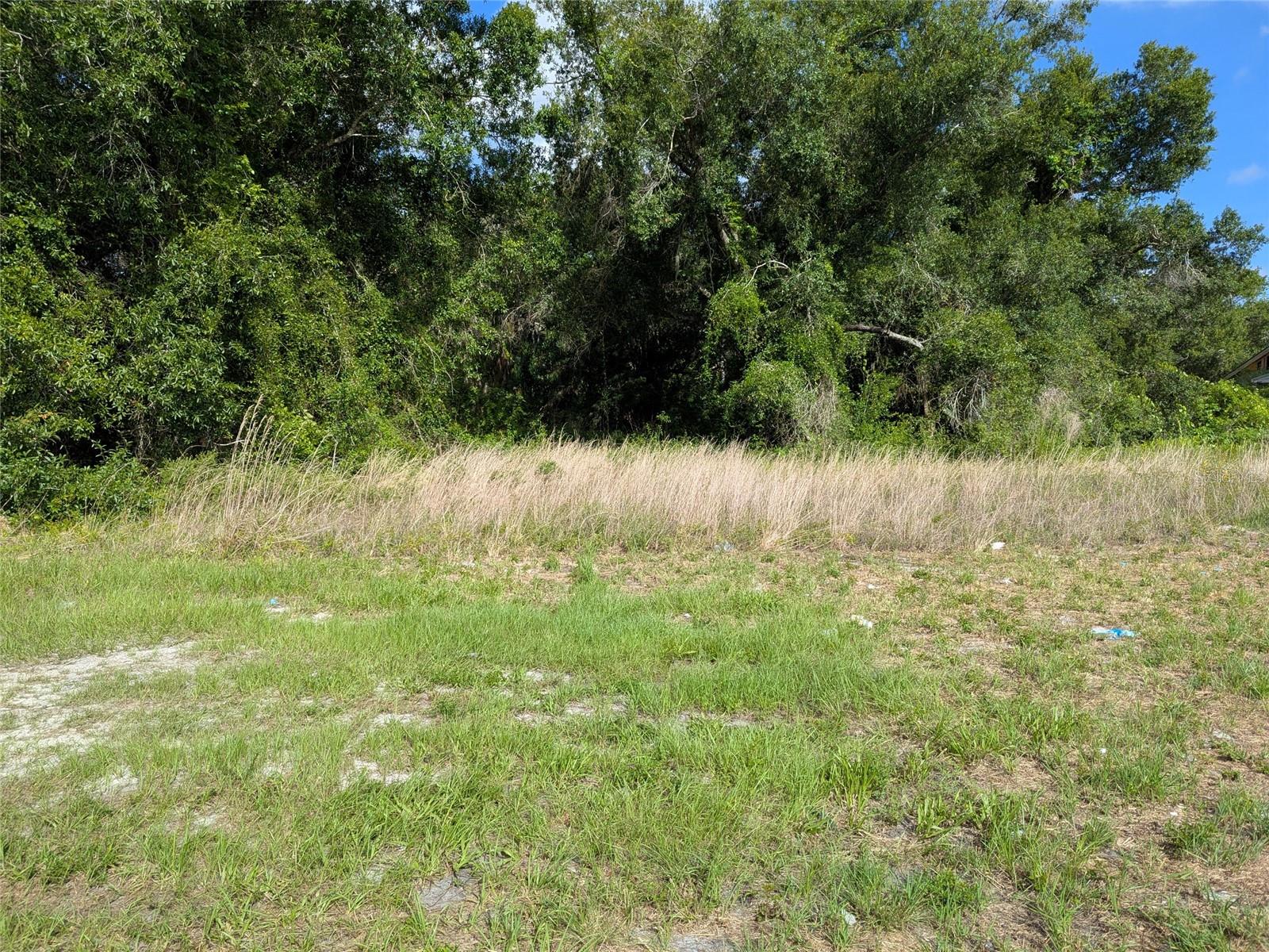 1894 SW PINO CRESTO ST, ARCADIA, FL, 34266