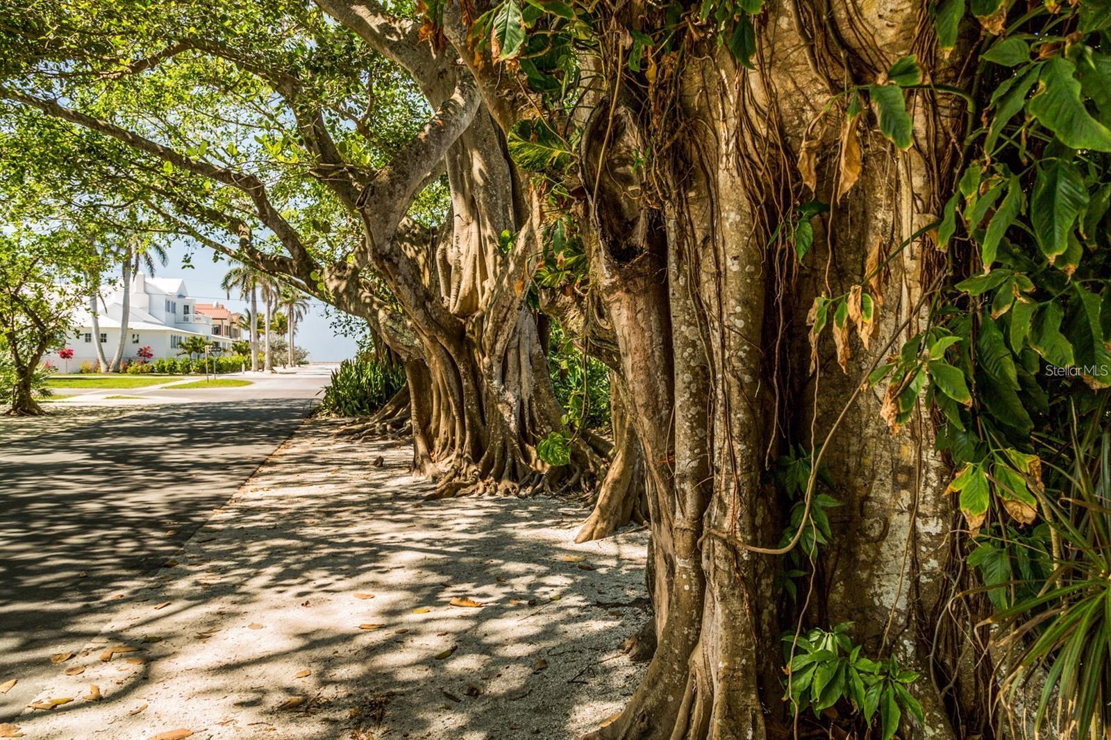 15610 STAUNTON CIR, PORT CHARLOTTE, FL, 33981