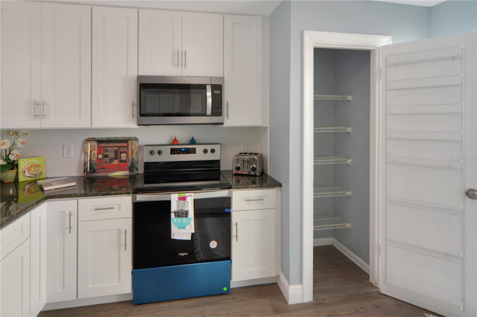 13907 FLETCHERS MILL DR, TAMPA, FL, 33613