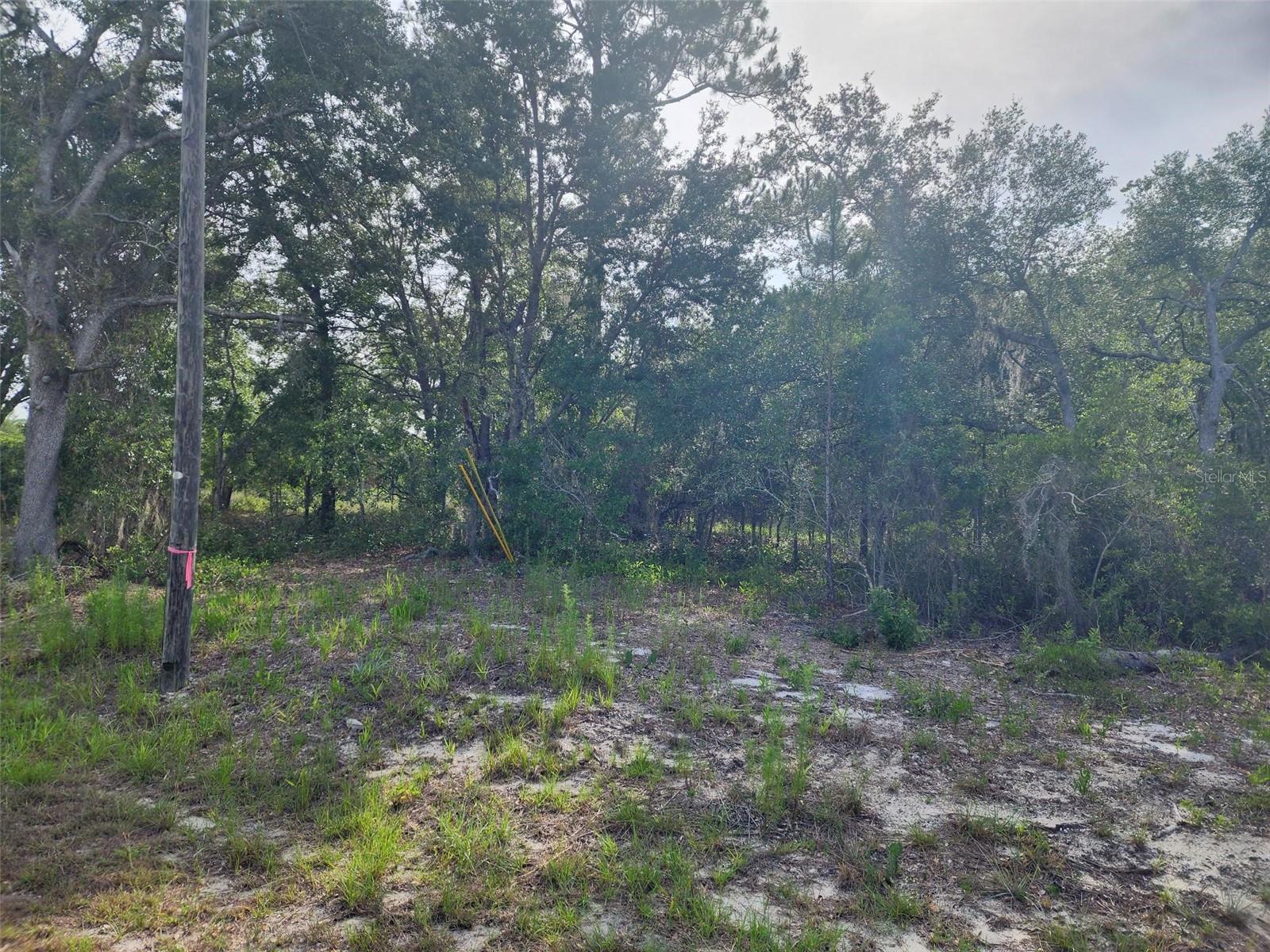 TBD SE 125TH CT, DUNNELLON, FL, 34431