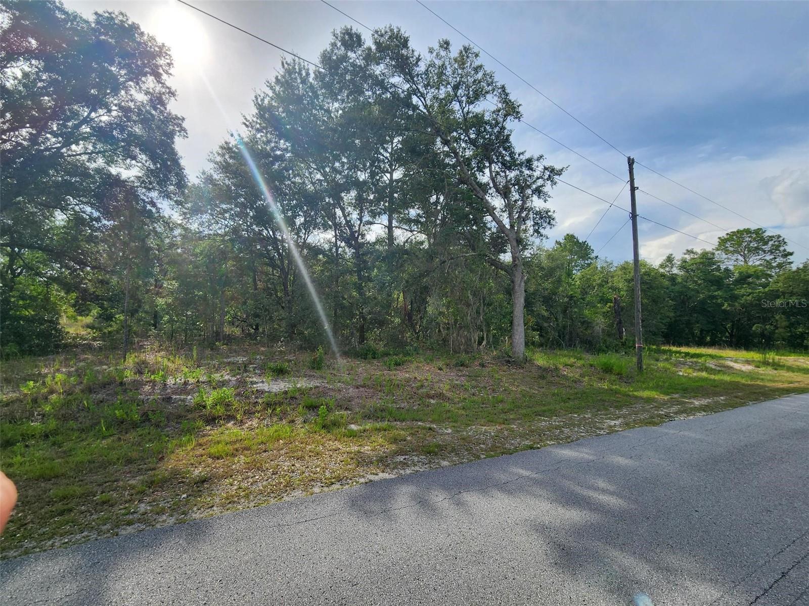 TBD SE 125TH CT, DUNNELLON, FL, 34431