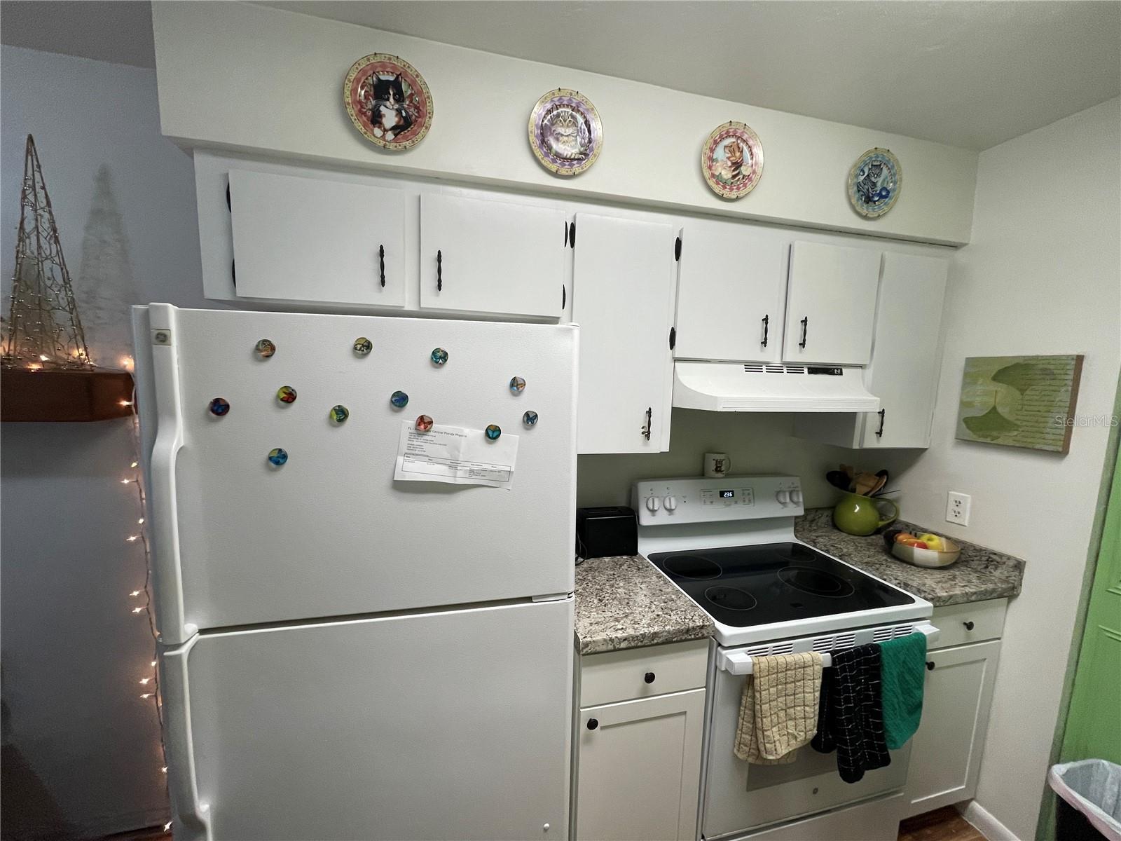 7006 SW 21ST LN, GAINESVILLE, FL, 32607