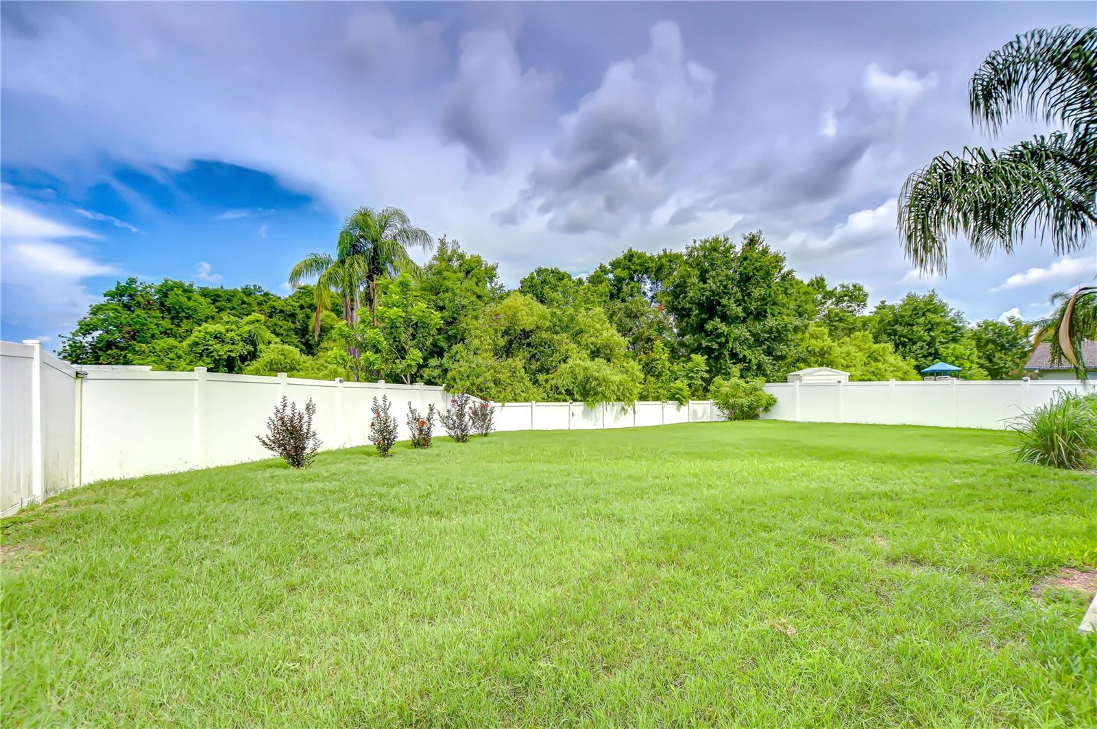 4211 ELBA PL, VALRICO, FL, 33596