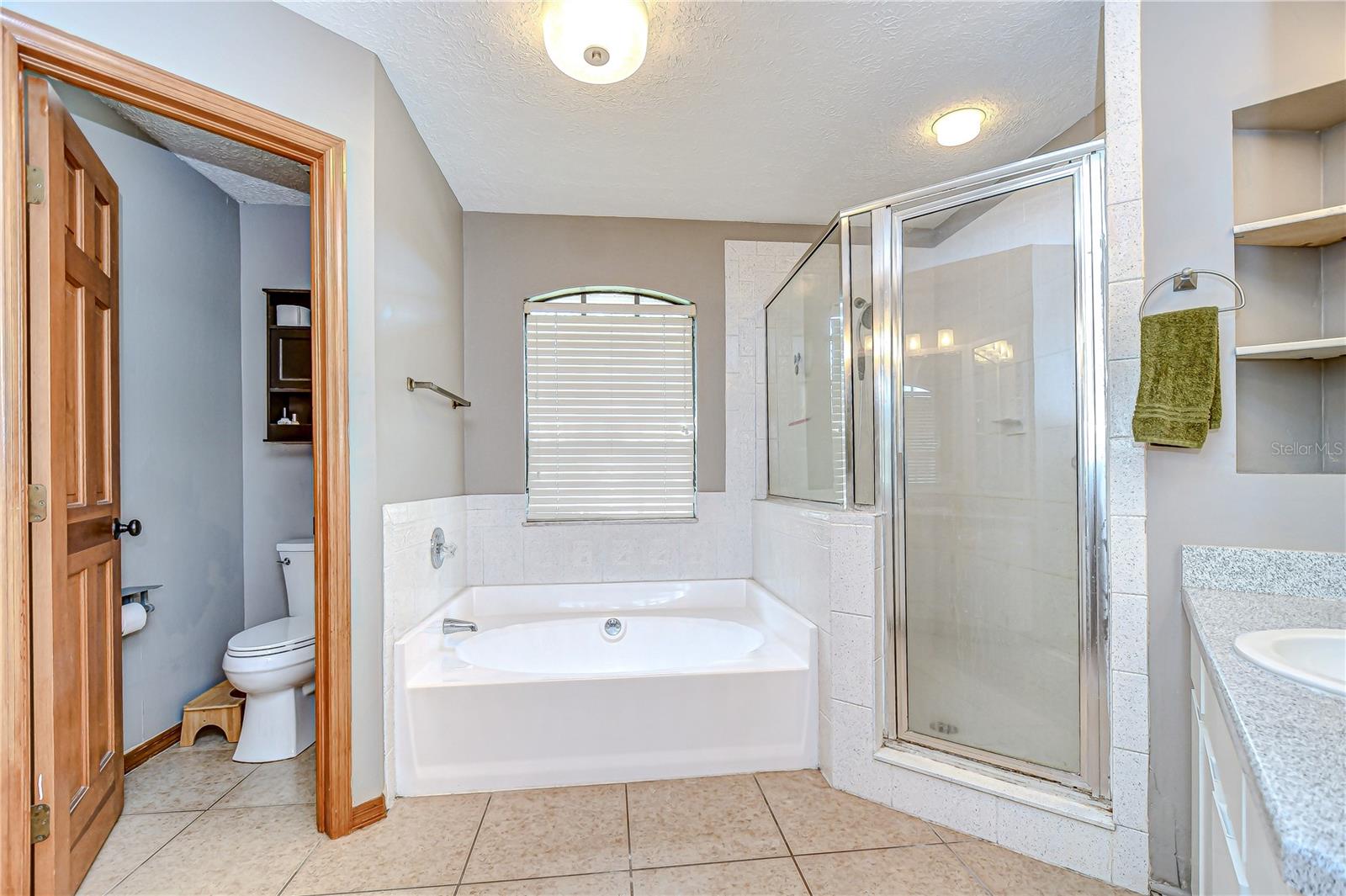 4211 ELBA PL, VALRICO, FL, 33596