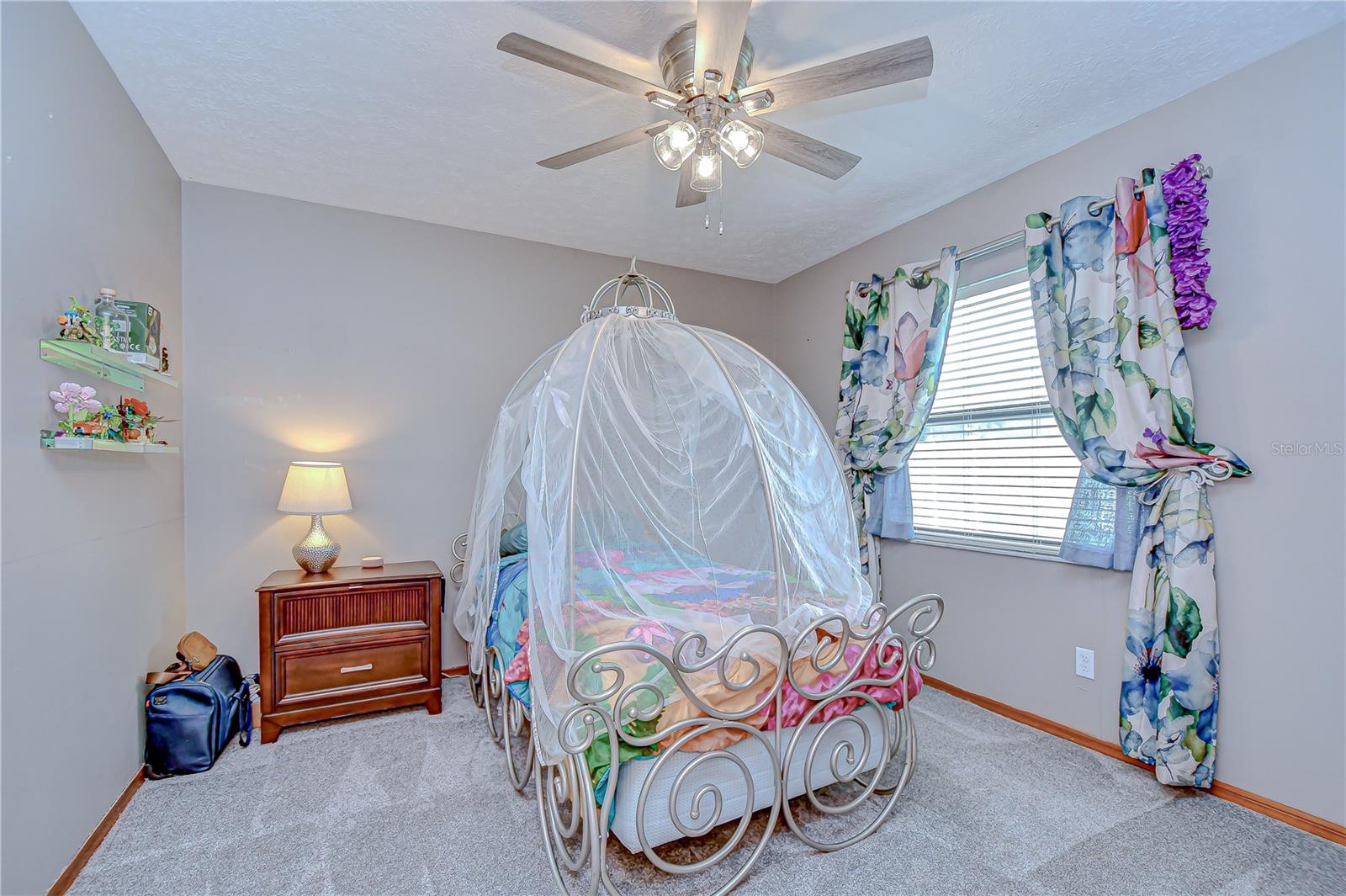 4211 ELBA PL, VALRICO, FL, 33596