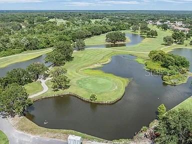 4211 ELBA PL, VALRICO, FL, 33596