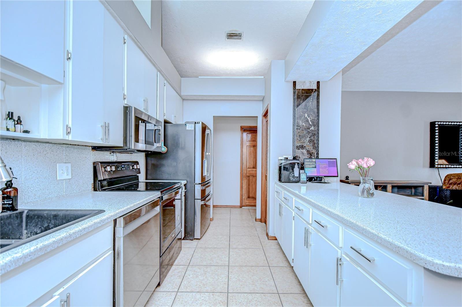 4211 ELBA PL, VALRICO, FL, 33596