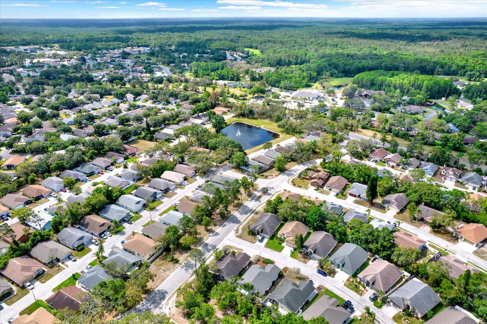 10935 NEW BRIGHTON CT, NEW PORT RICHEY, FL, 34654