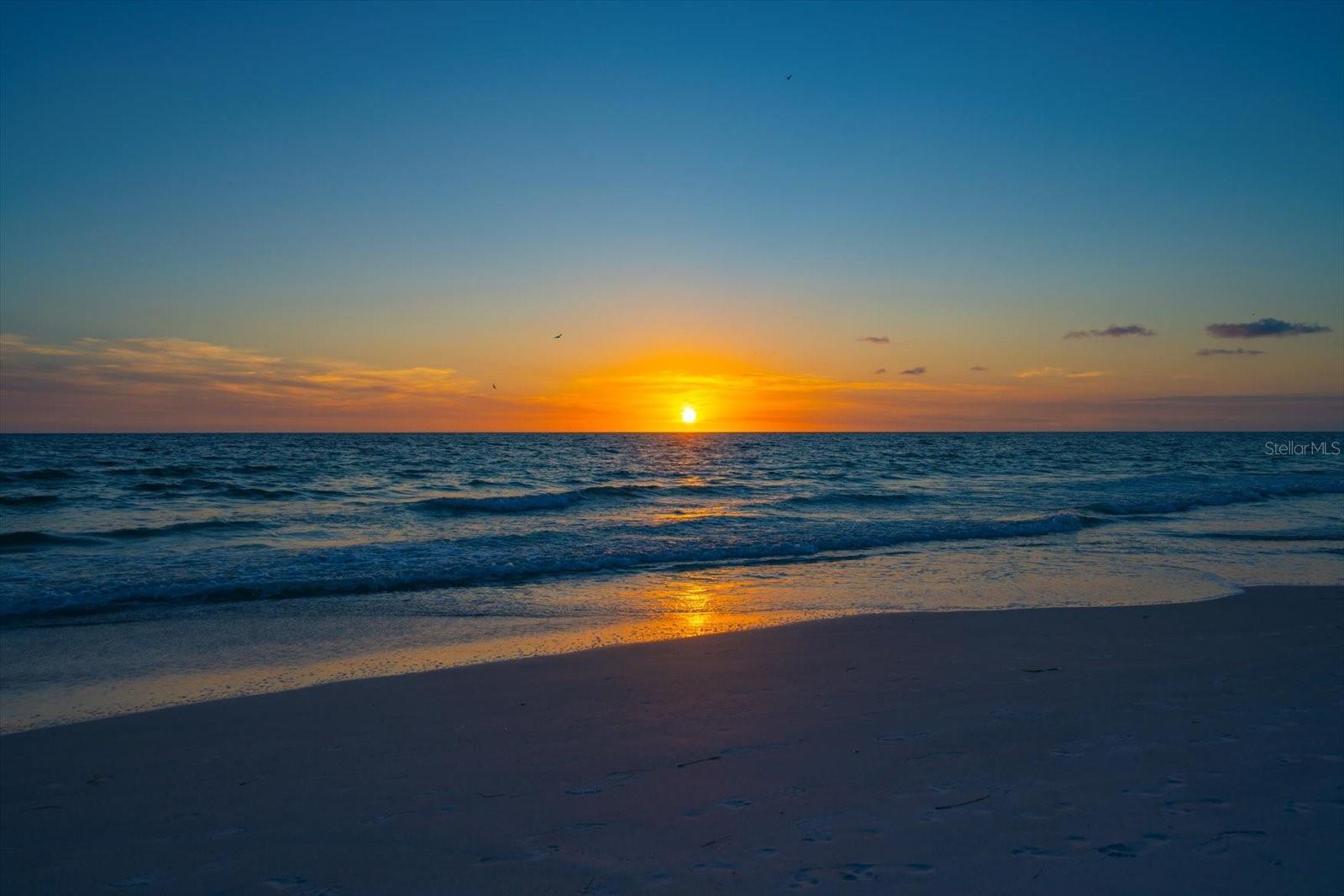 TB8395604 Property Photo