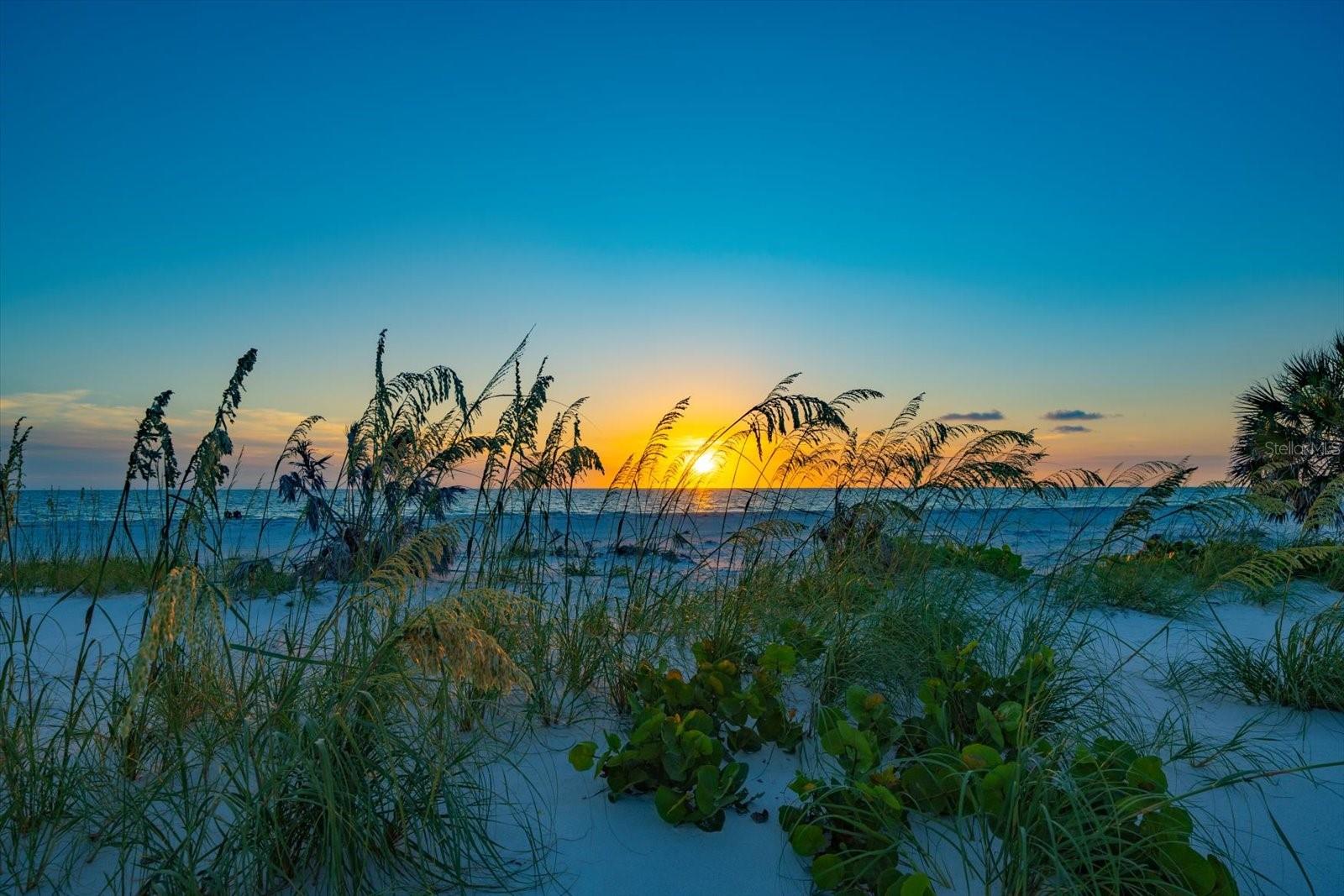 TB8395604 Property Photo