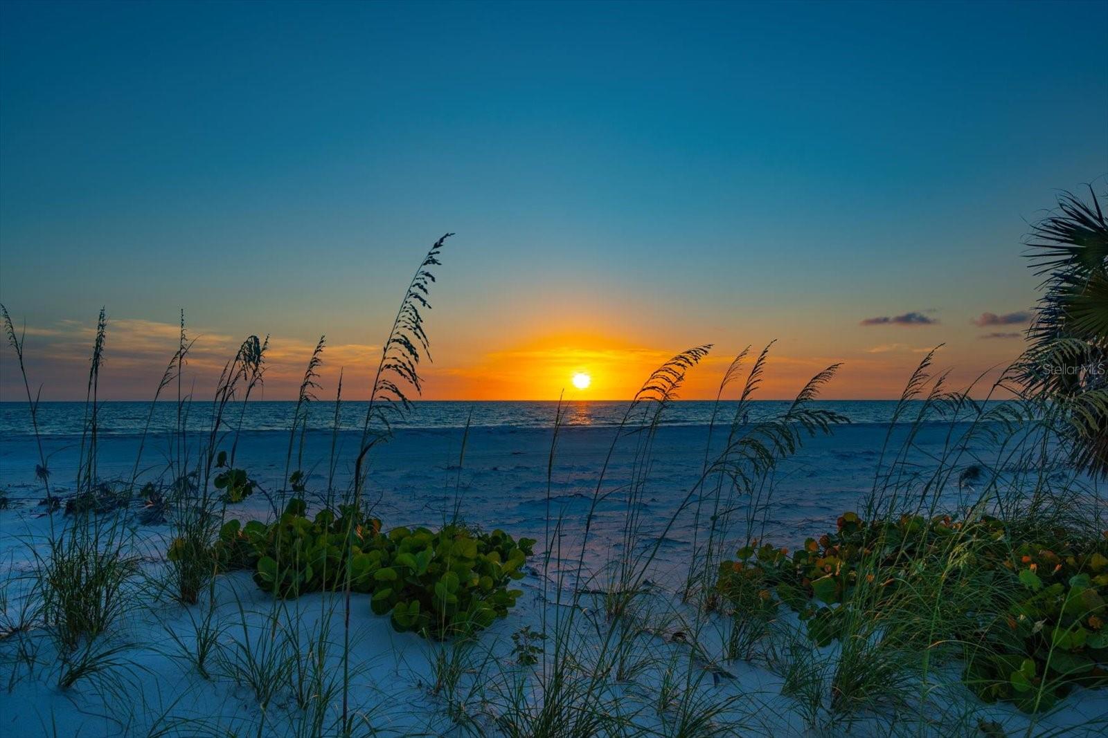 TB8395604 Property Photo