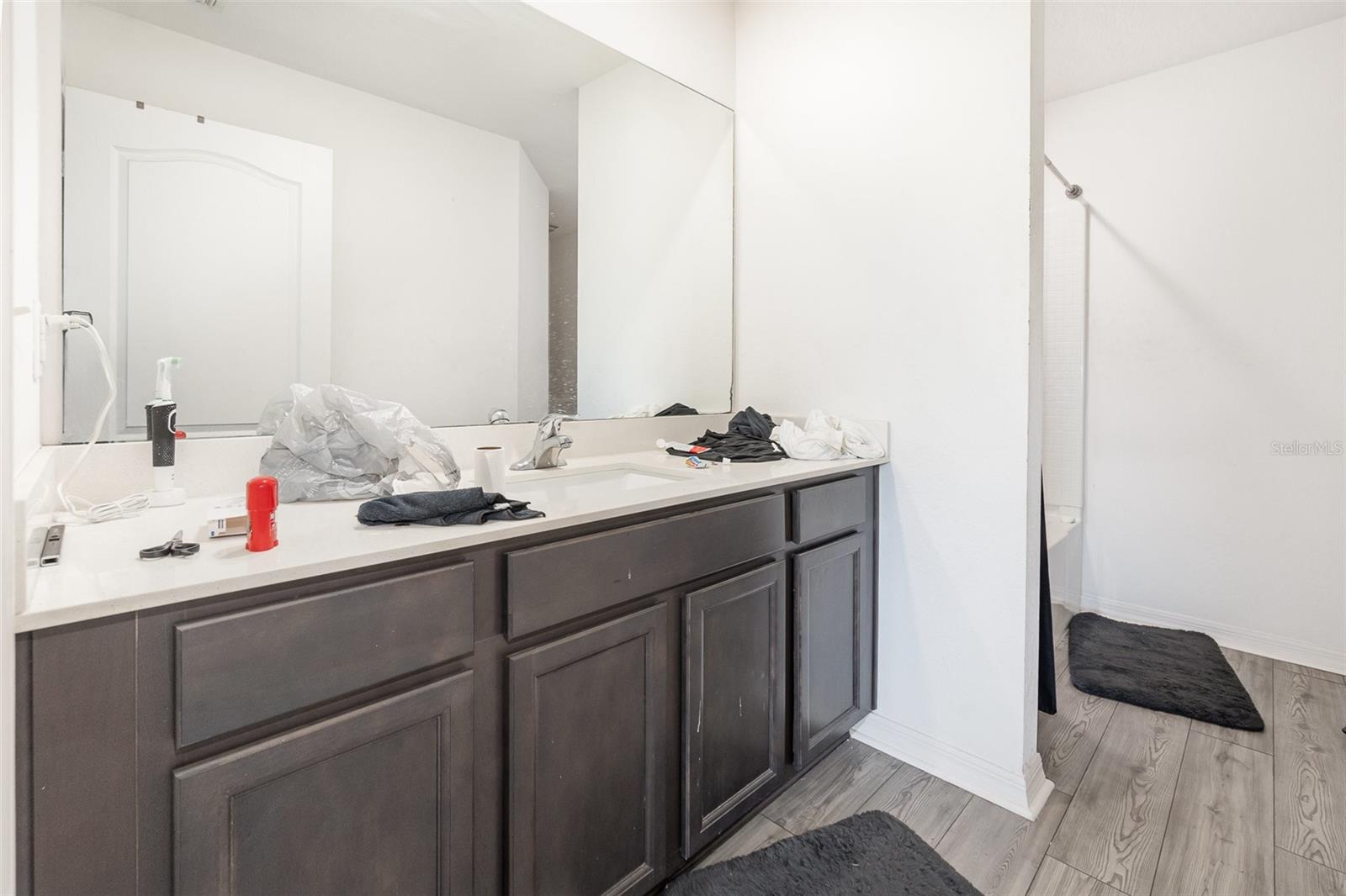 1741 CANAAN LOOP, DUNDEE, FL, 33838