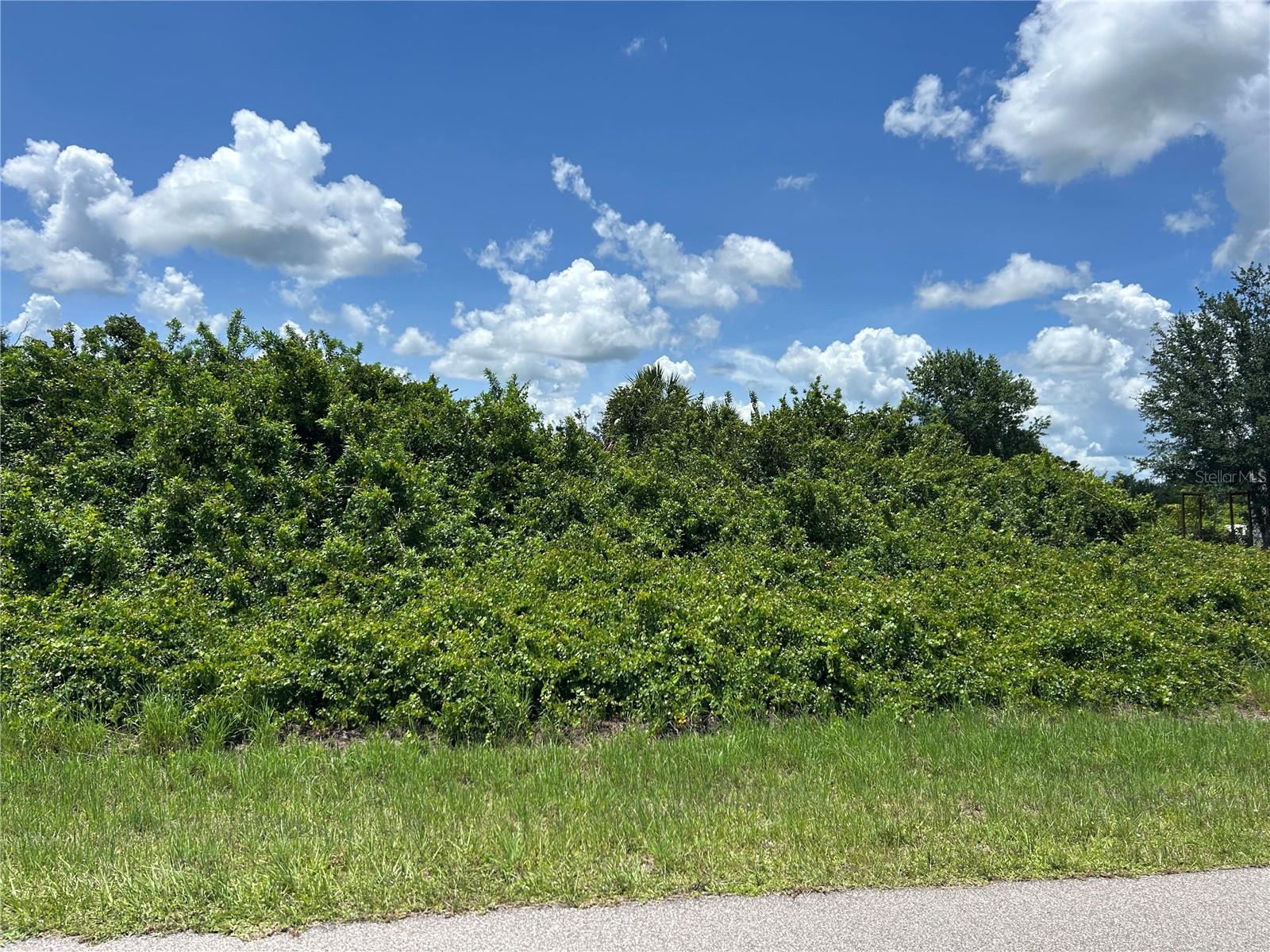 29100 ALFARETTA AVE, PUNTA GORDA, FL, 33982