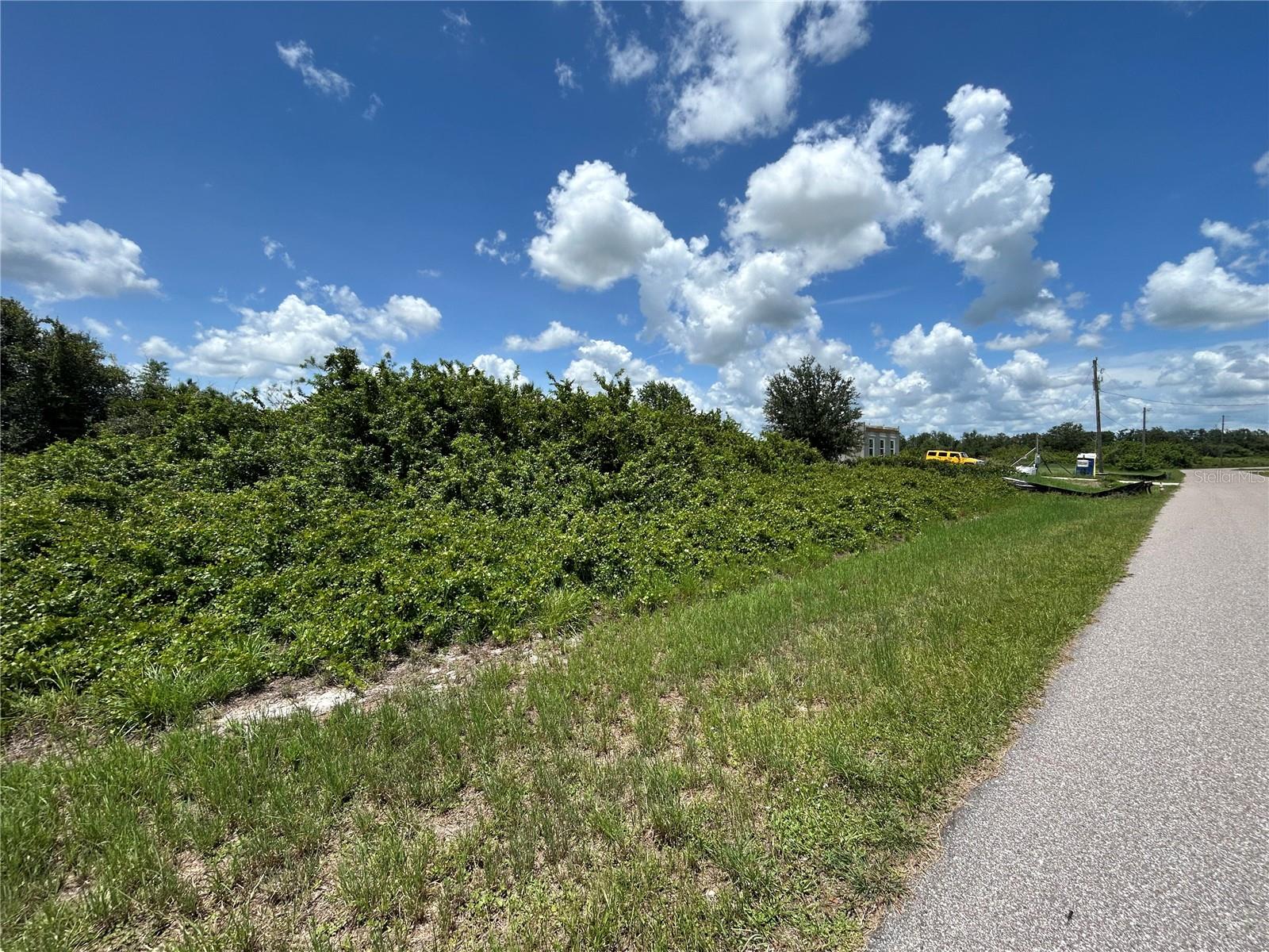 29100 ALFARETTA AVE, PUNTA GORDA, FL, 33982