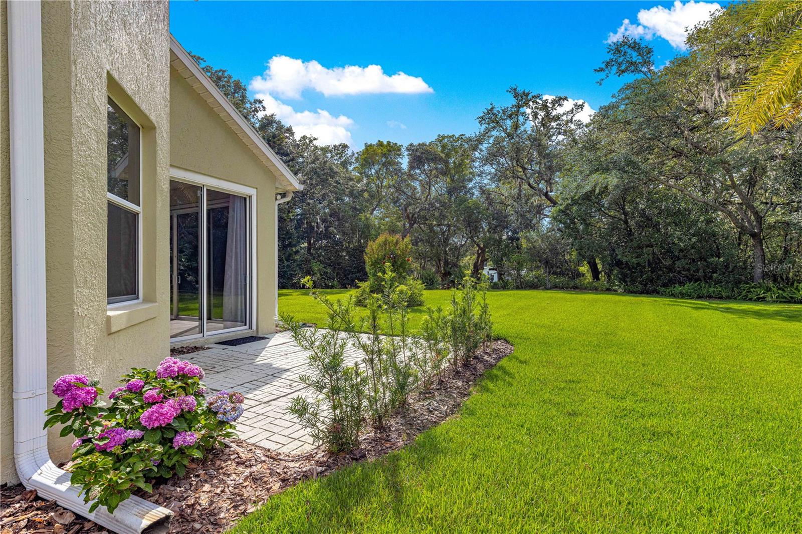 8045 WATERBURY WAY, MOUNT DORA, FL, 32757