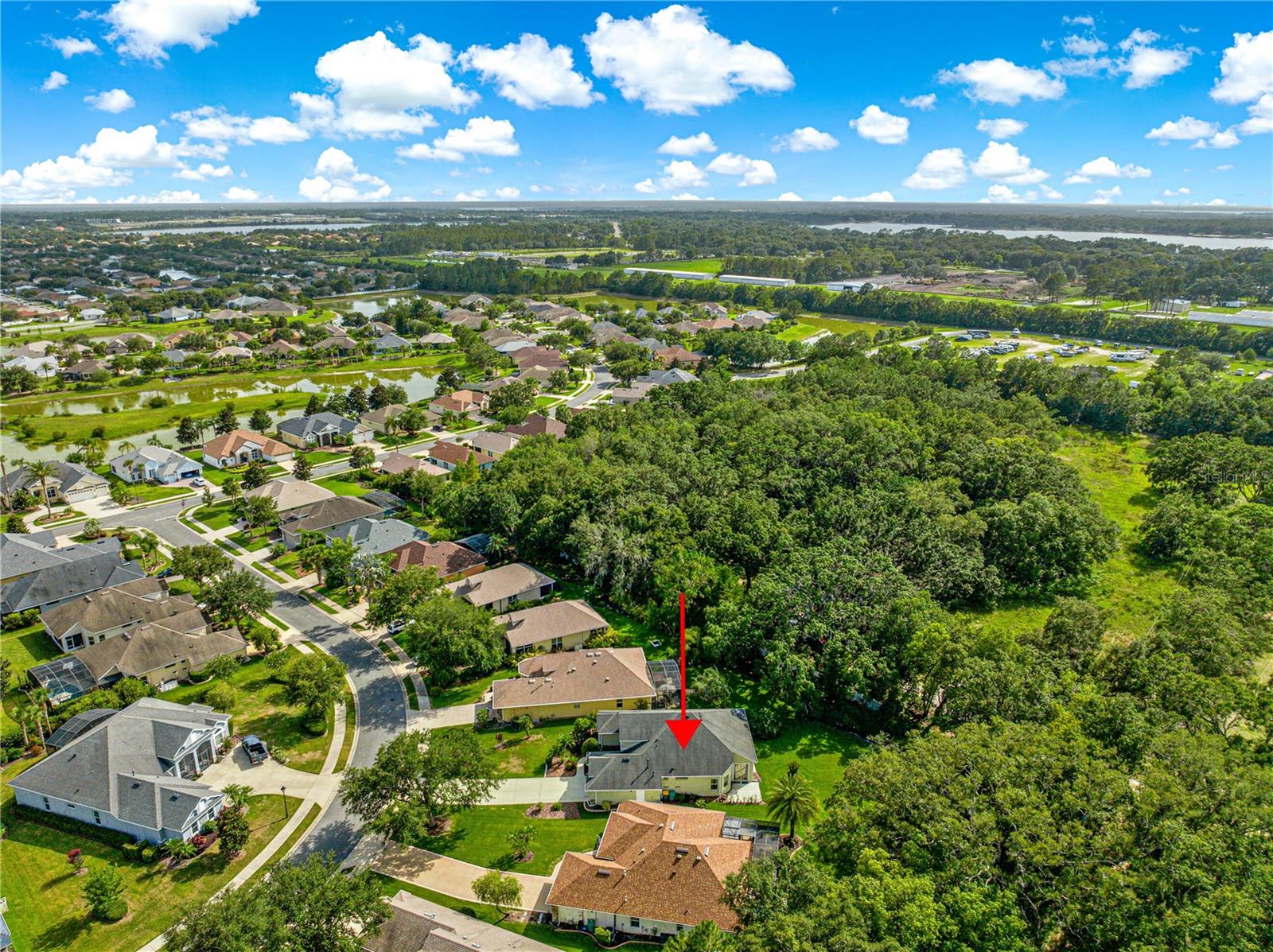 8045 WATERBURY WAY, MOUNT DORA, FL, 32757