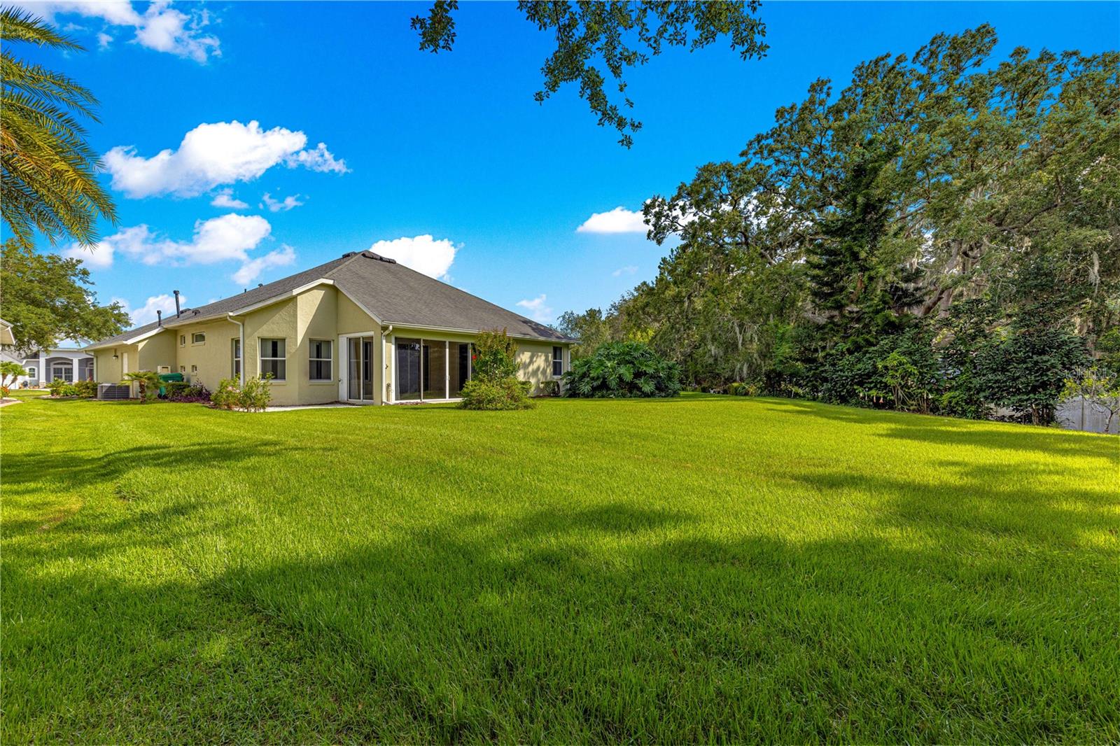 8045 WATERBURY WAY, MOUNT DORA, FL, 32757