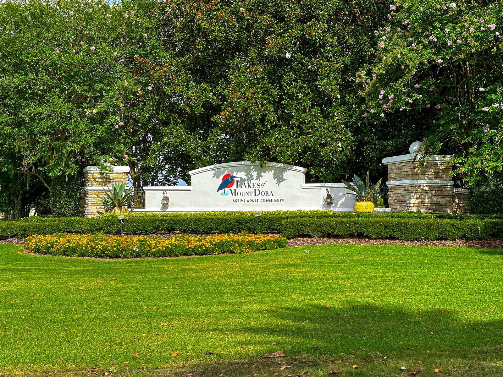 8045 WATERBURY WAY, MOUNT DORA, FL, 32757