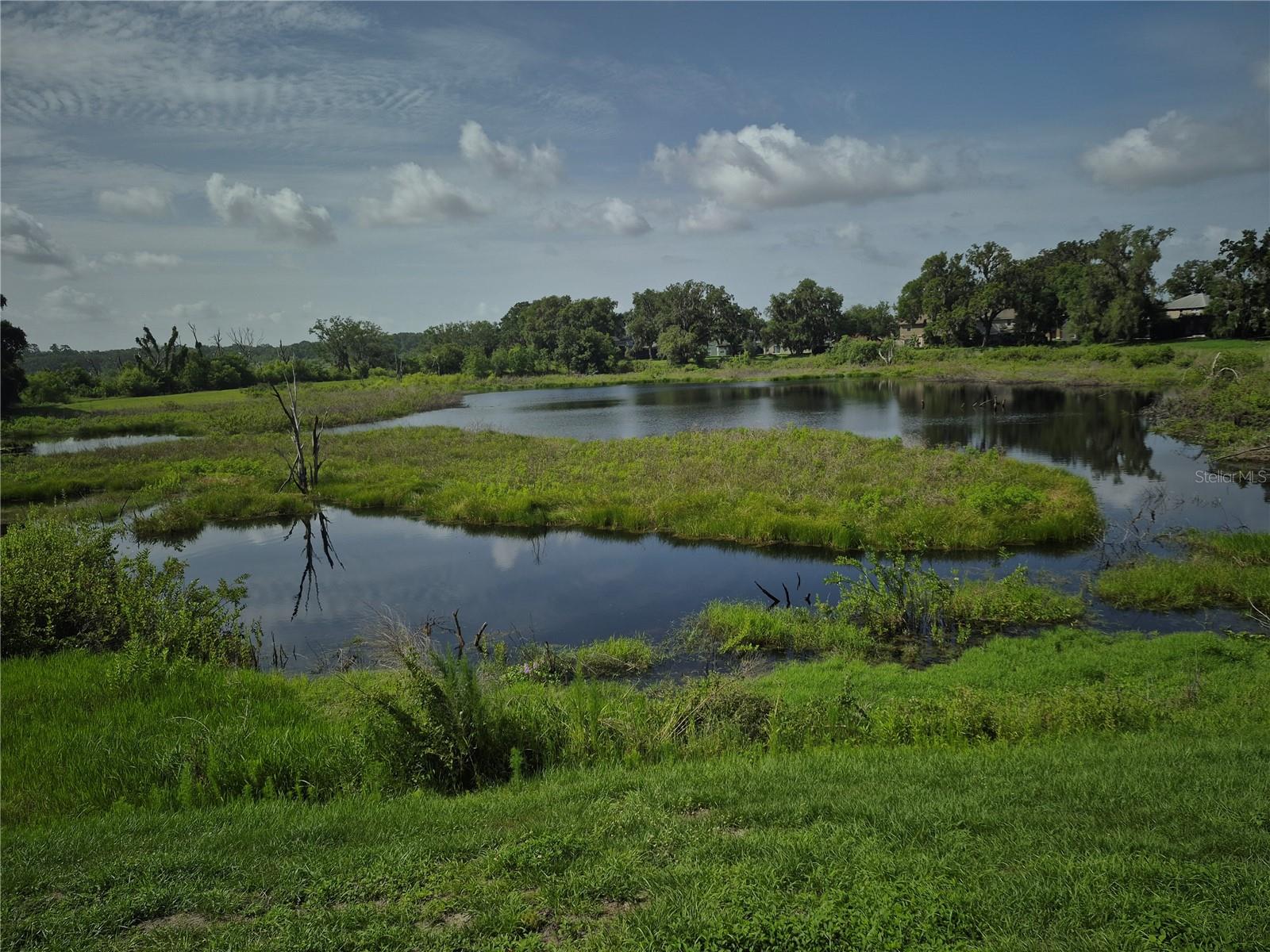 2020 RUSHDEN DR, OCOEE, FL, 34761