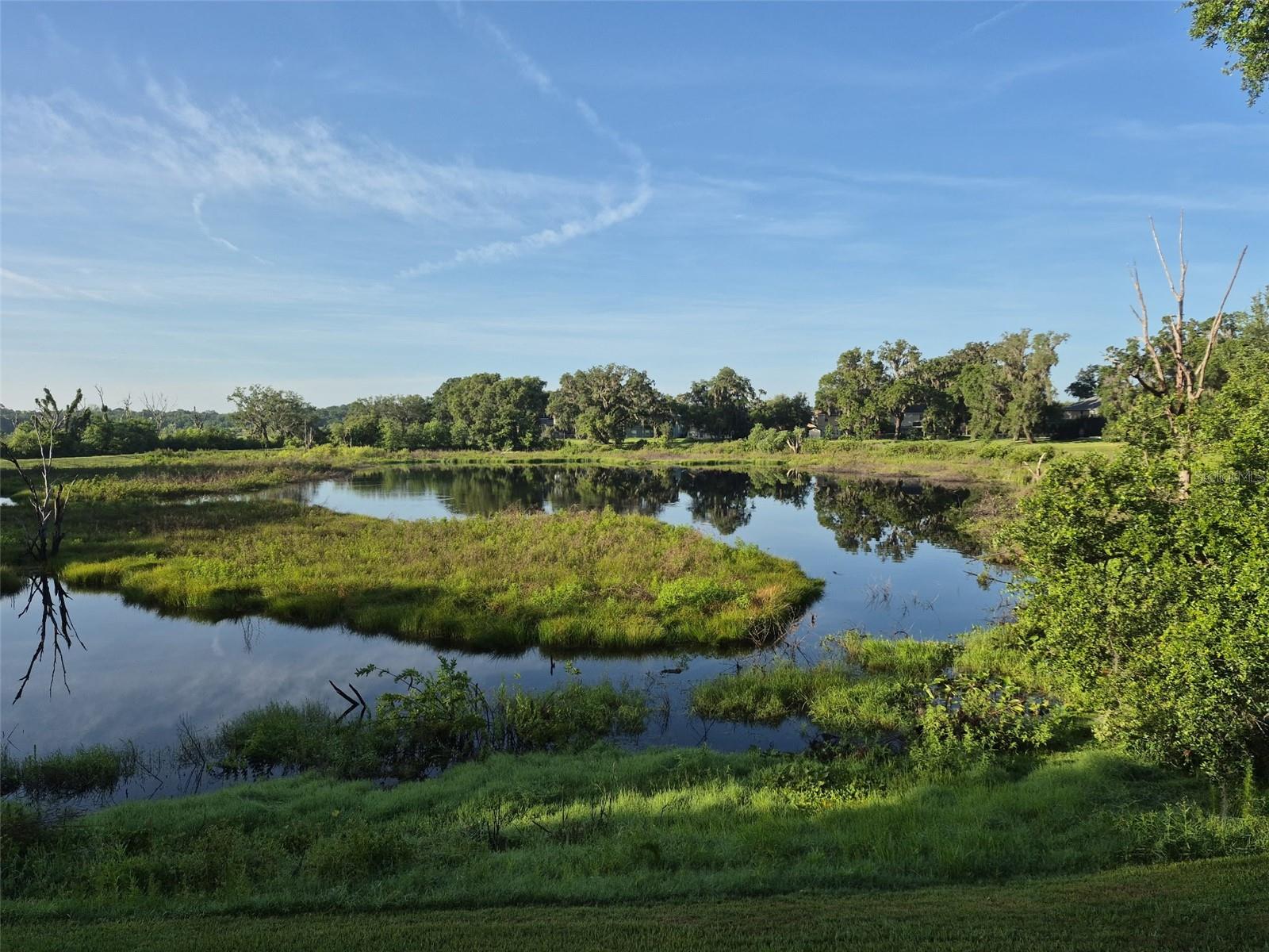 2020 RUSHDEN DR, OCOEE, FL, 34761