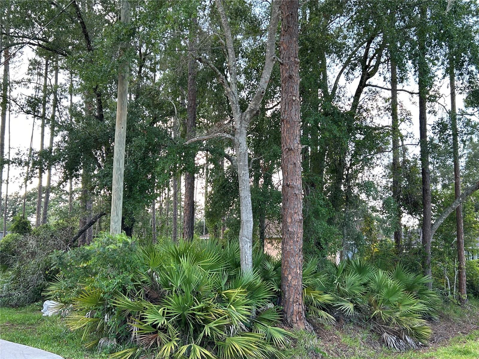 2050 10TH AVE, DELAND, FL, 32724