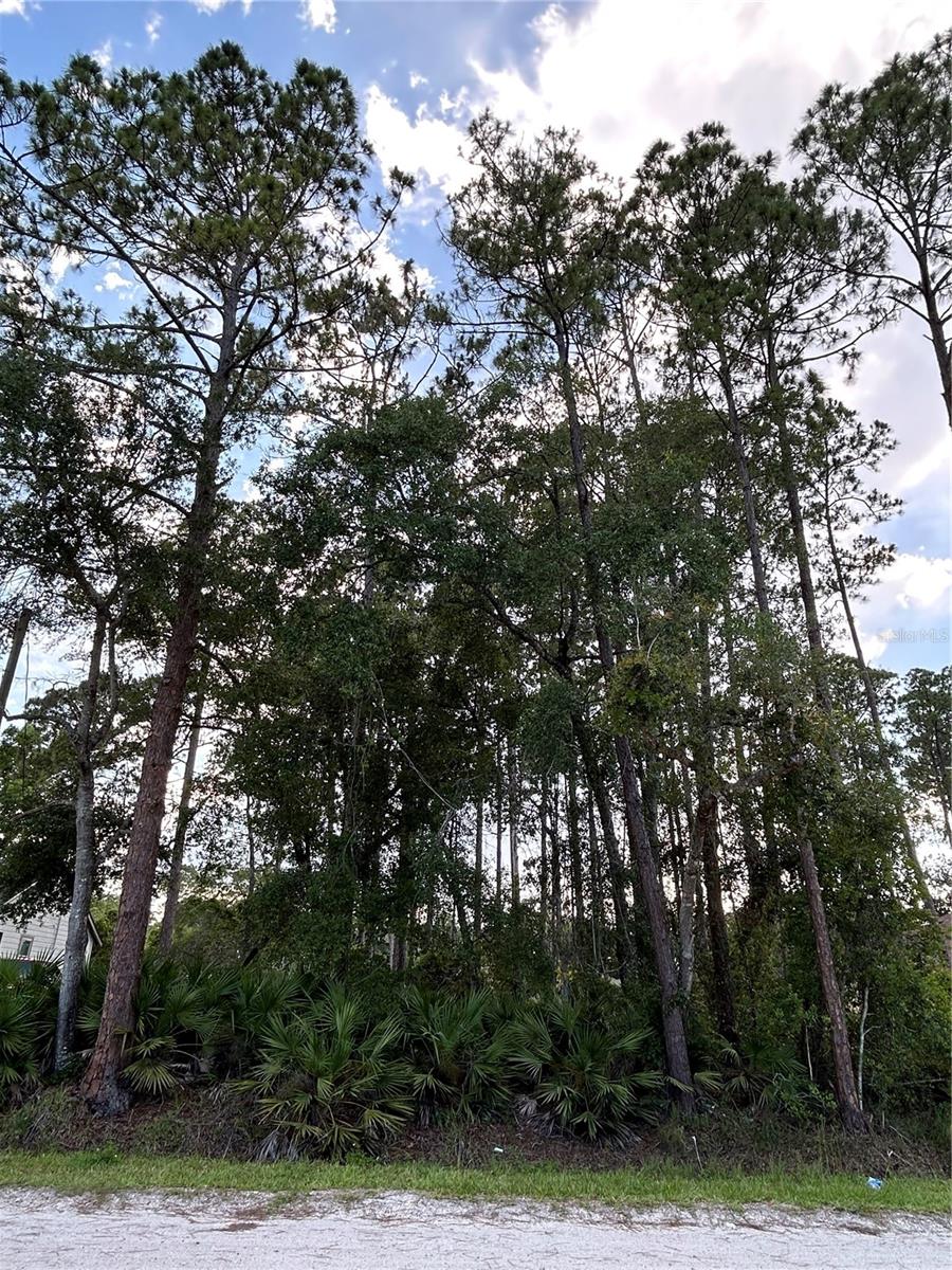 2050 10TH AVE, DELAND, FL, 32724