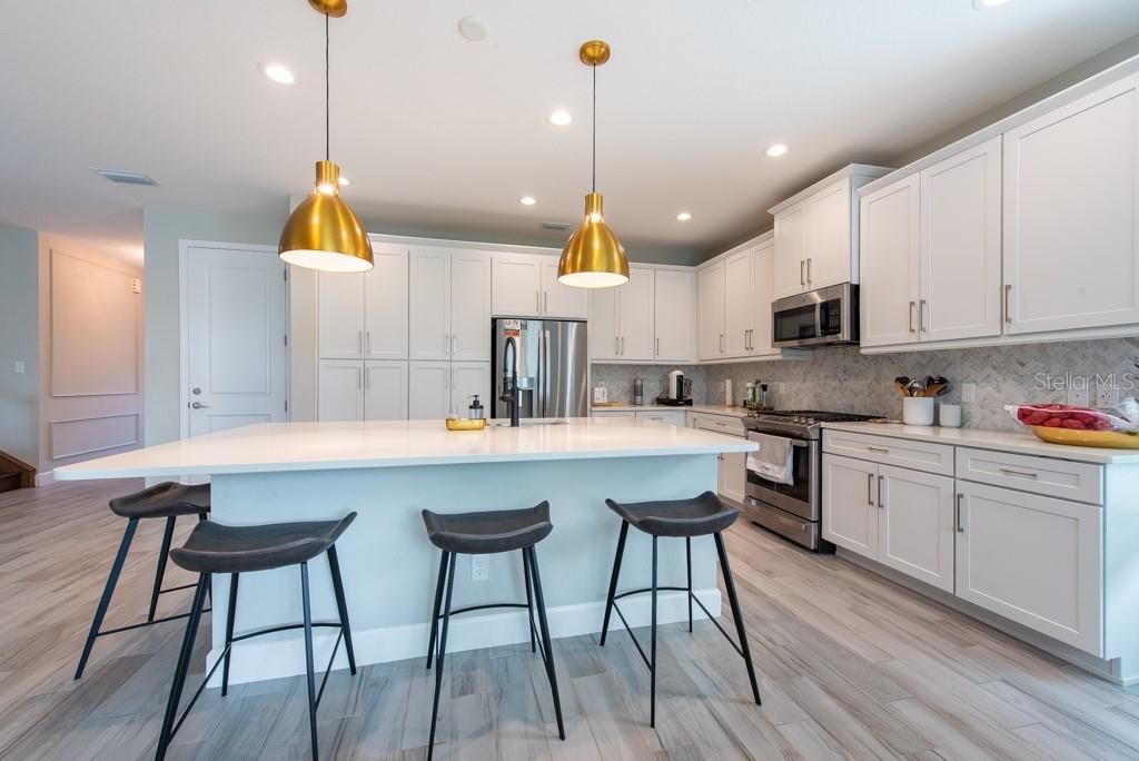 3144 MOUNTAIN SPRUCE TER, WESLEY CHAPEL, FL, 33543