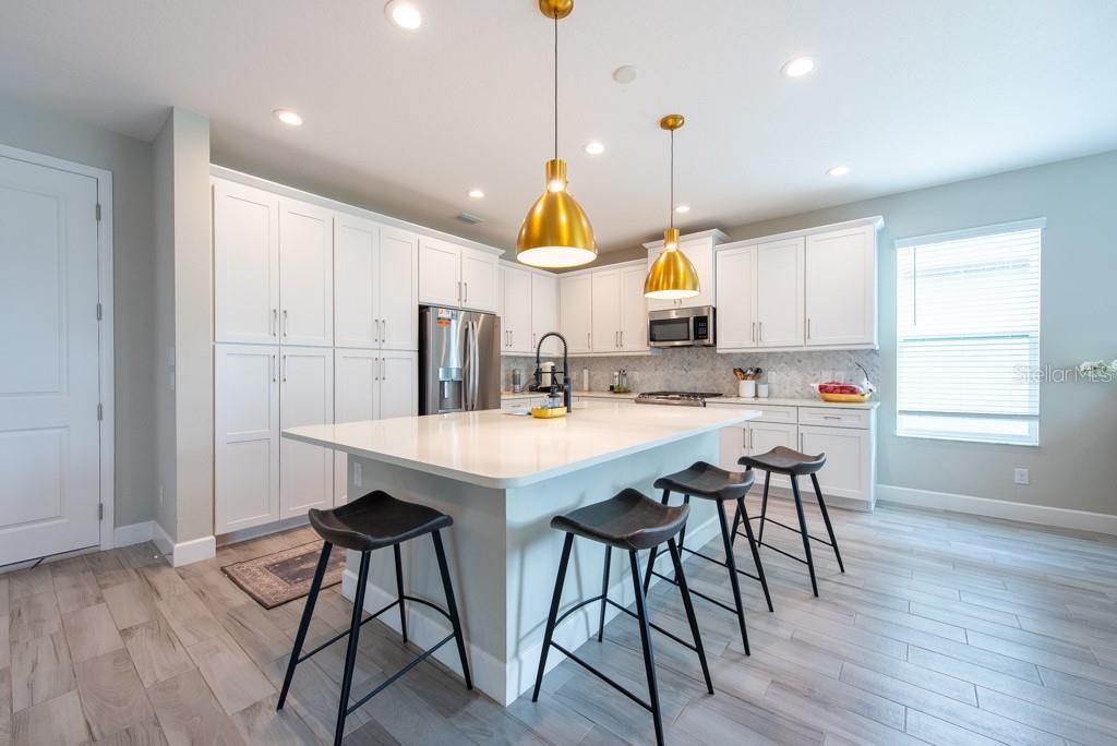 3144 MOUNTAIN SPRUCE TER, WESLEY CHAPEL, FL, 33543