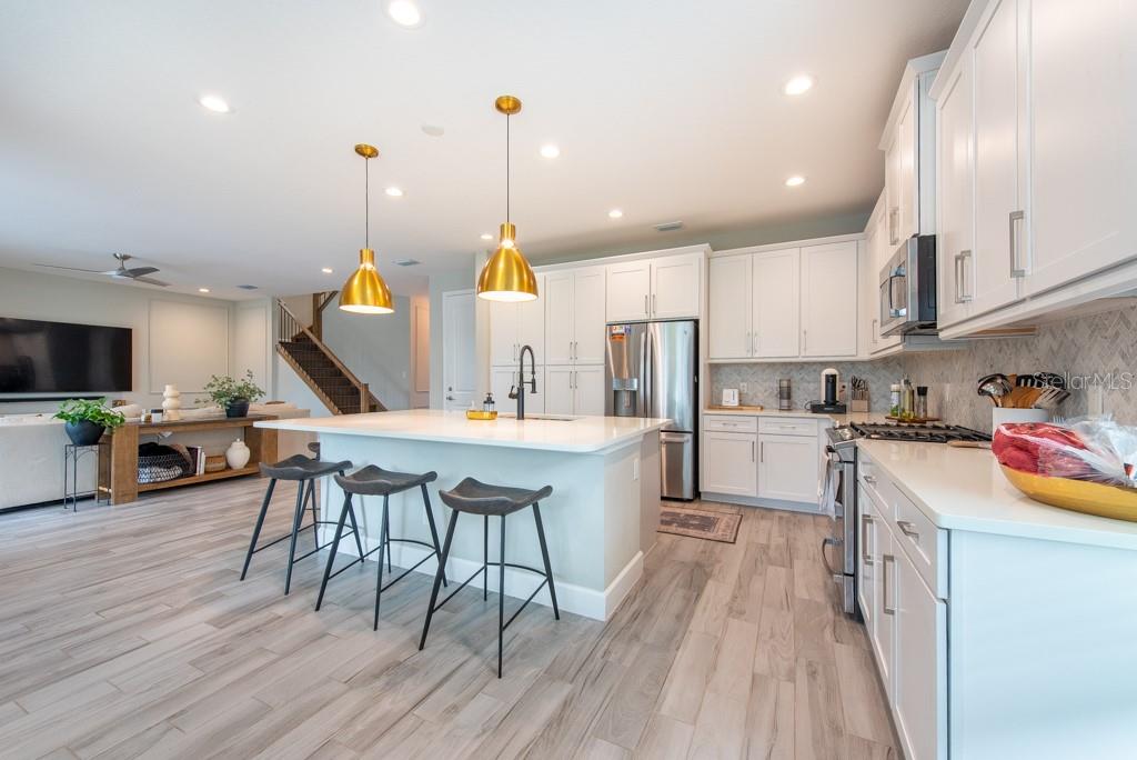 3144 MOUNTAIN SPRUCE TER, WESLEY CHAPEL, FL, 33543