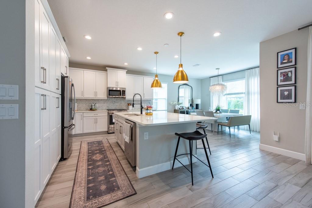 3144 MOUNTAIN SPRUCE TER, WESLEY CHAPEL, FL, 33543