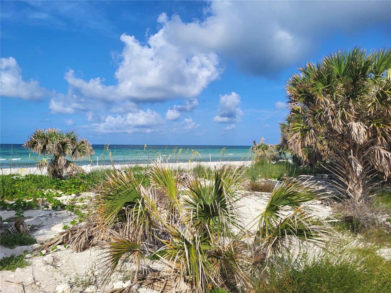 2770 STEEPLE CT, PALM HARBOR, FL, 34684