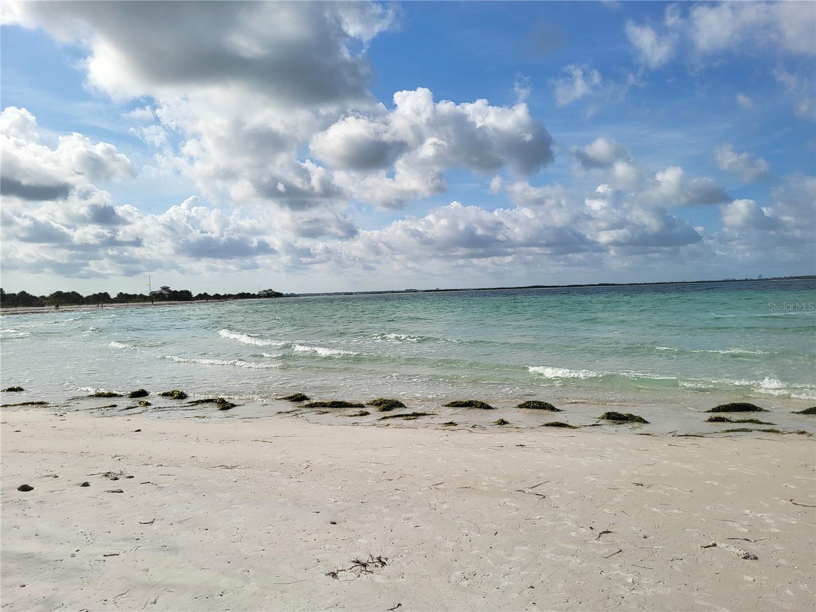 2770 STEEPLE CT, PALM HARBOR, FL, 34684