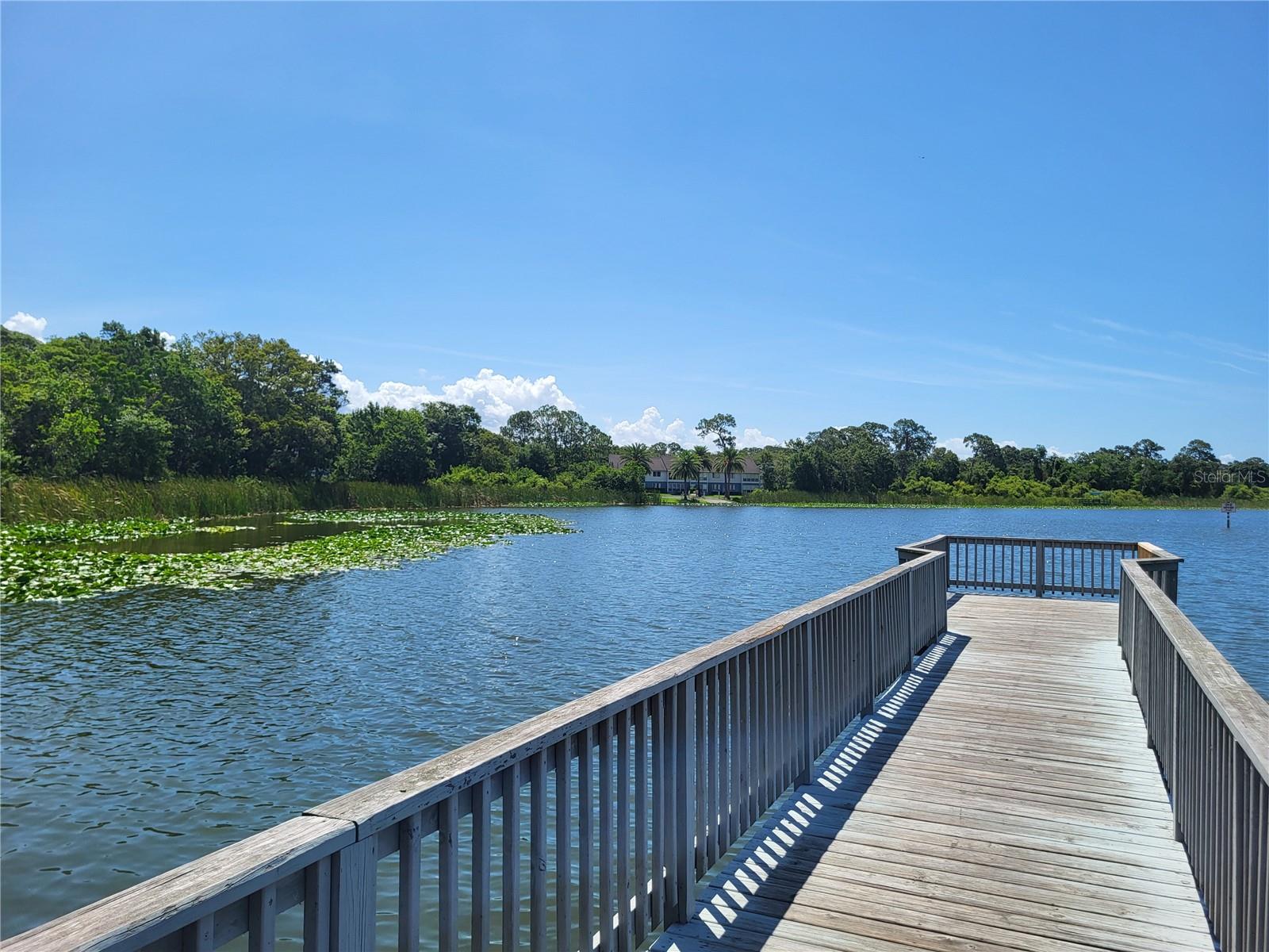 2770 STEEPLE CT, PALM HARBOR, FL, 34684