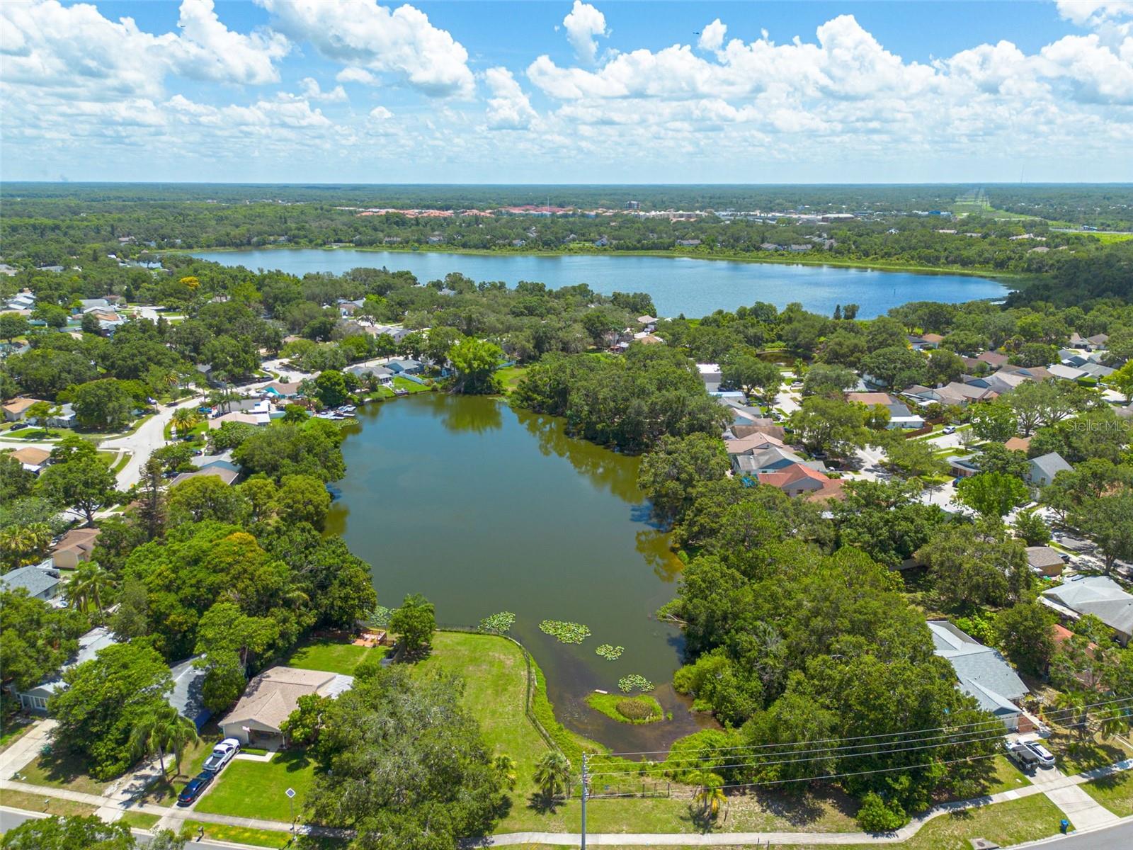 2770 STEEPLE CT, PALM HARBOR, FL, 34684