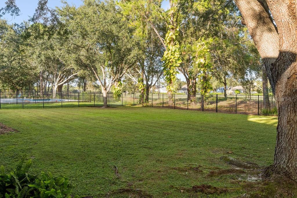 6047 BLAKEFORD DR, WINDERMERE, FL, 34786