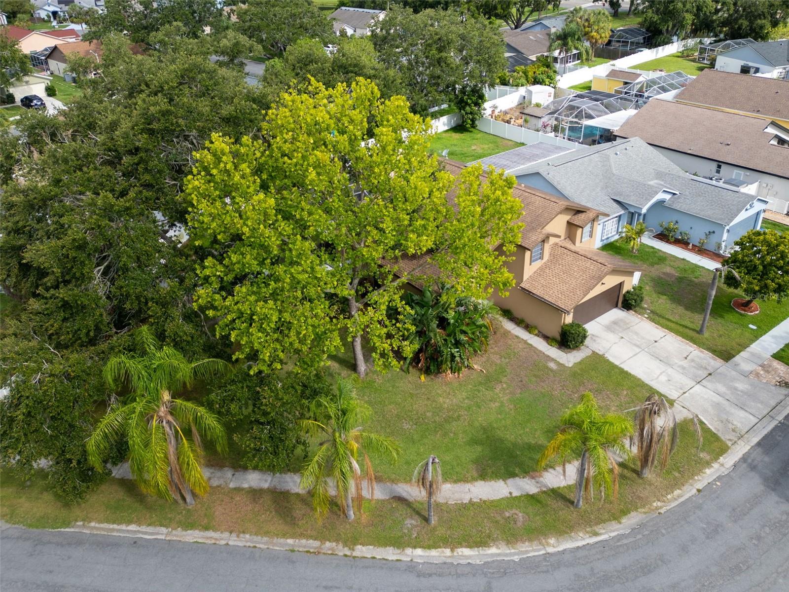 1715 LARABIE CT, BRANDON, FL, 33511