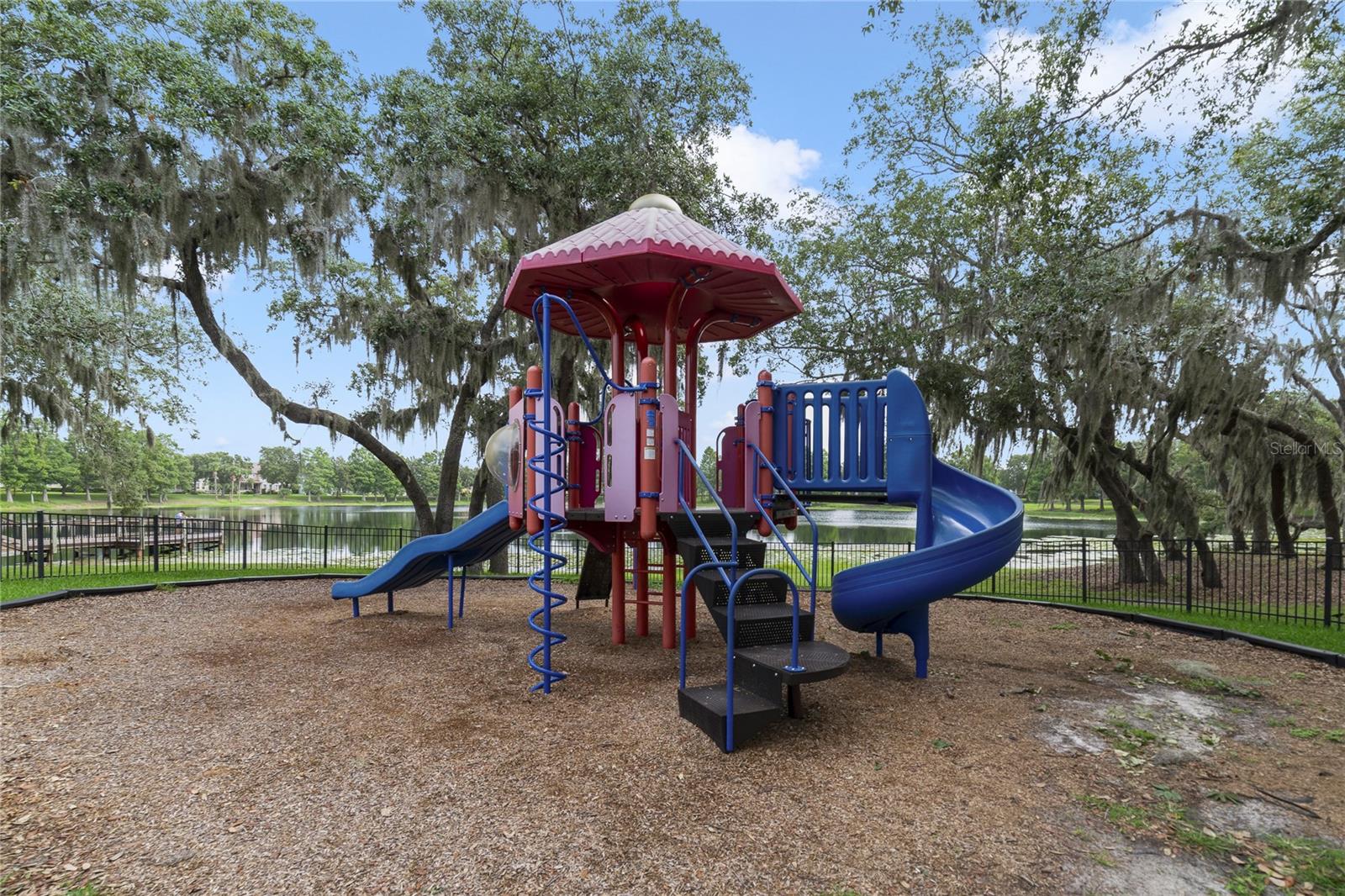 13850 AMELIA POND DR, WINDERMERE, FL, 34786