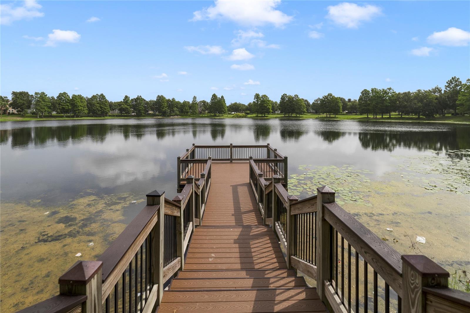 13850 AMELIA POND DR, WINDERMERE, FL, 34786