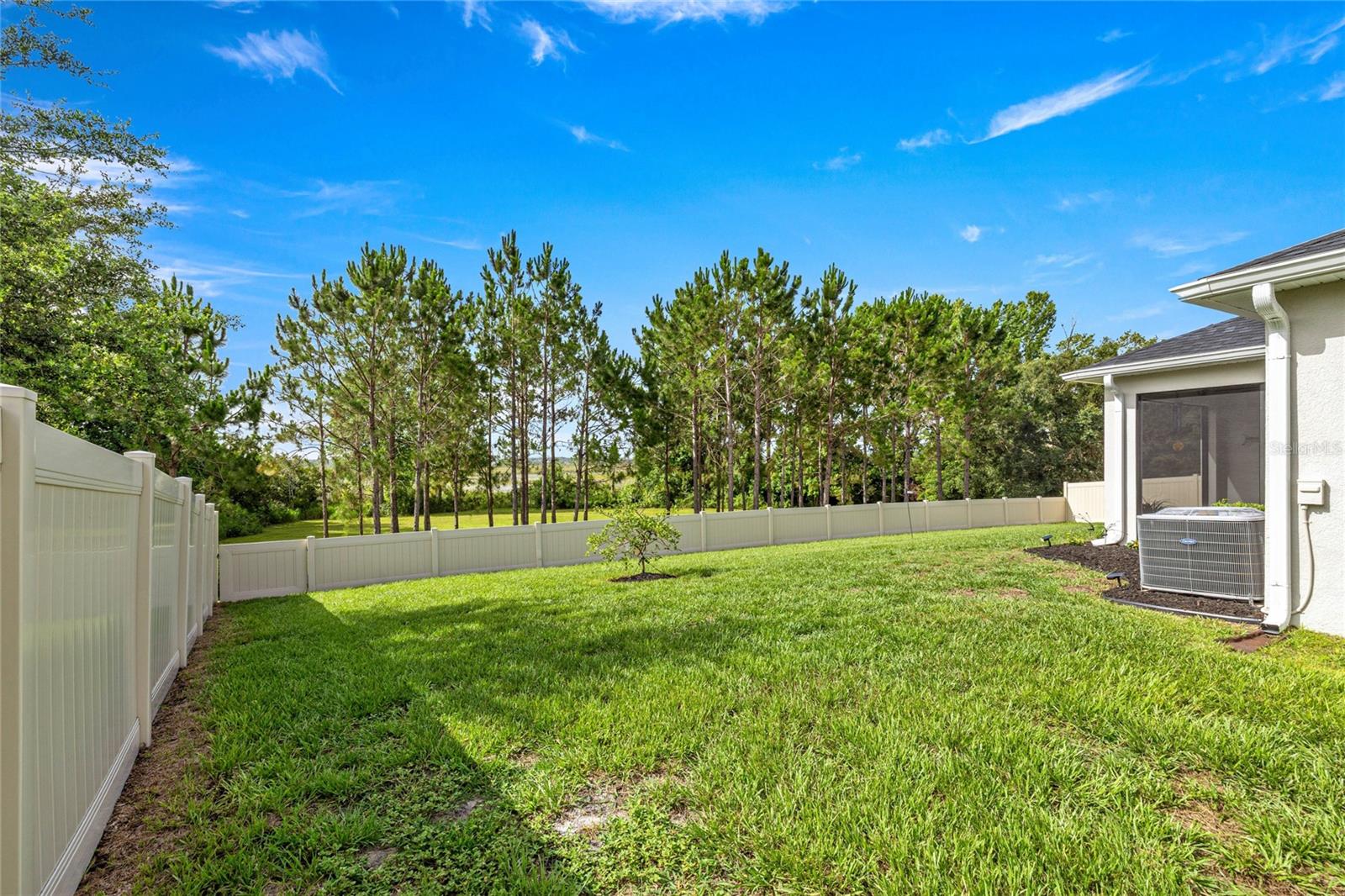 358 IRVING BEND DR, GROVELAND, FL, 34736