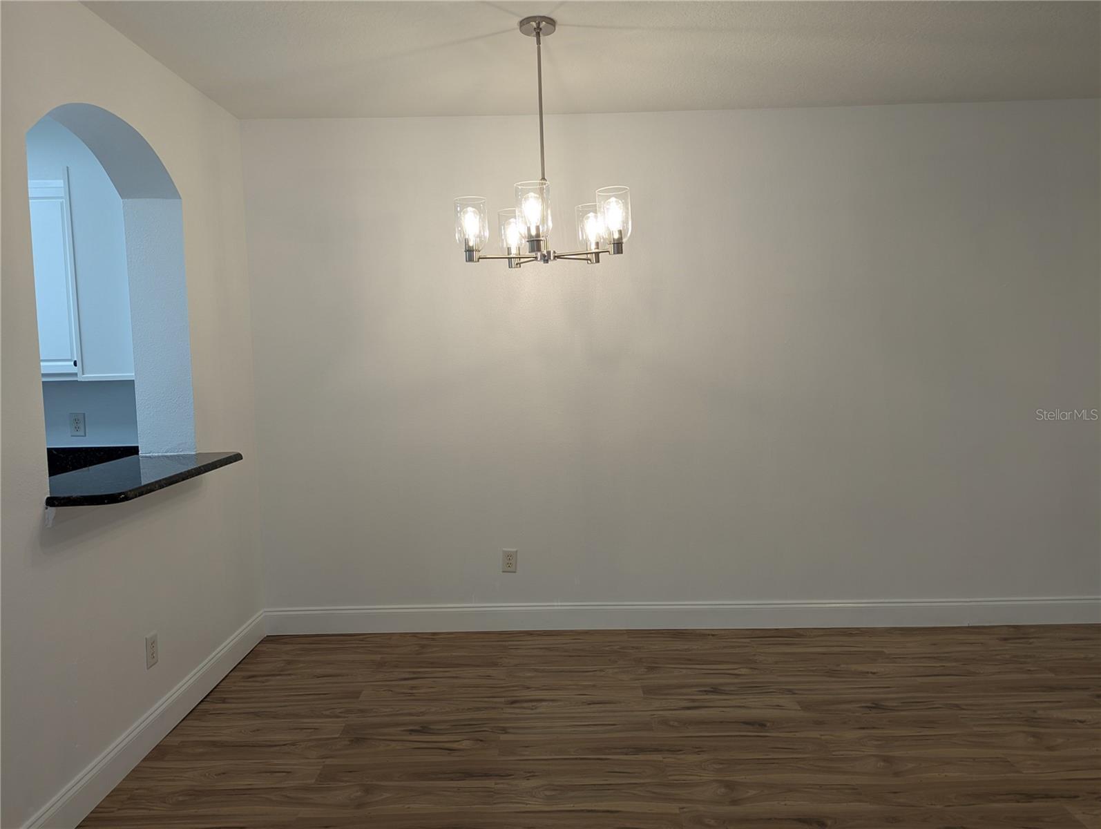 15819 FISHHAWK FALLS DR, LITHIA, FL, 33547