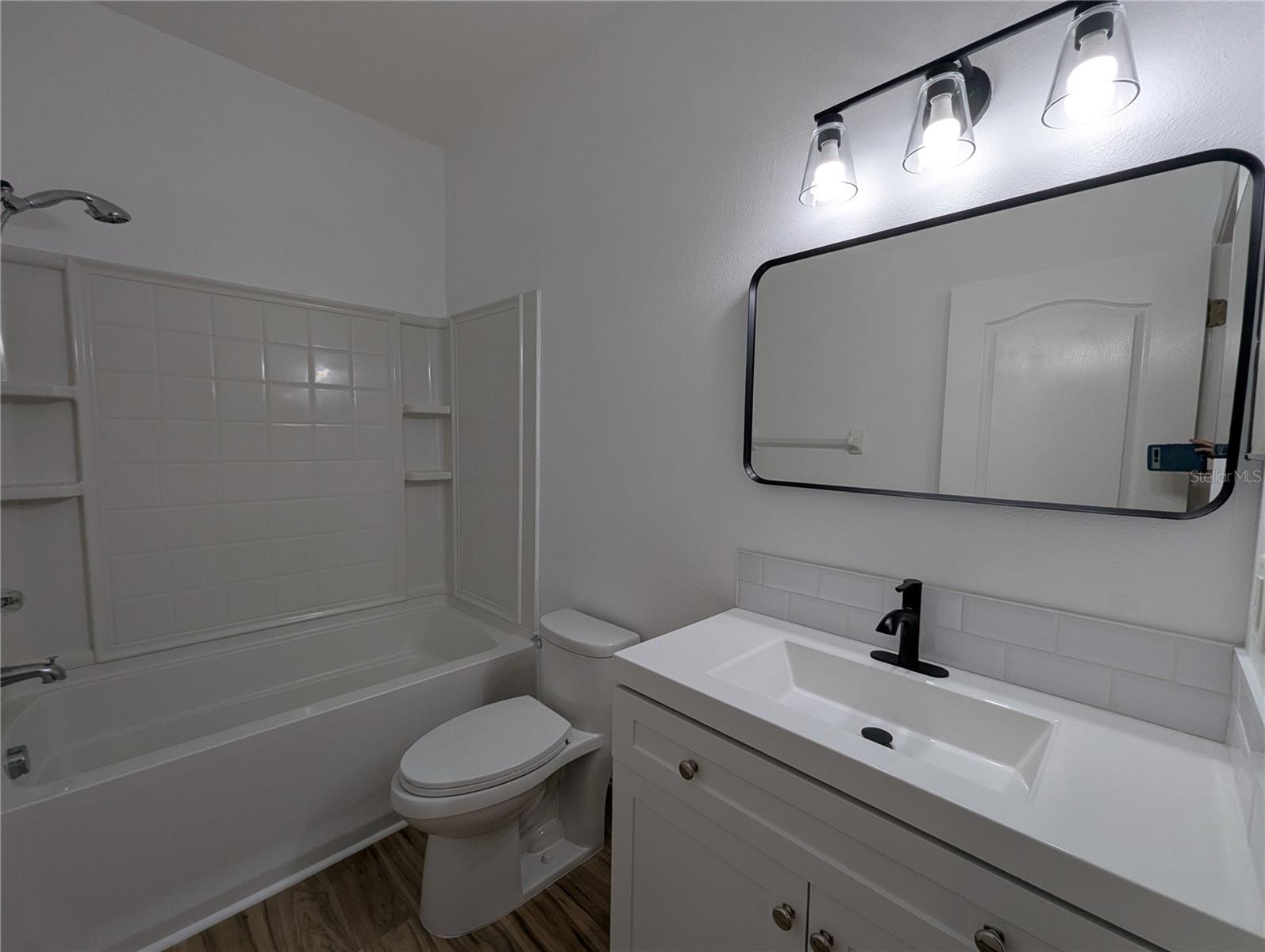 15819 FISHHAWK FALLS DR, LITHIA, FL, 33547