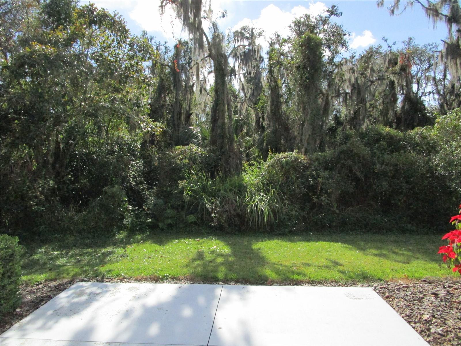 15819 FISHHAWK FALLS DR, LITHIA, FL, 33547