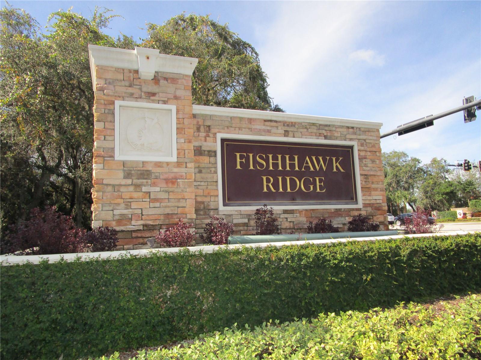 15819 FISHHAWK FALLS DR, LITHIA, FL, 33547