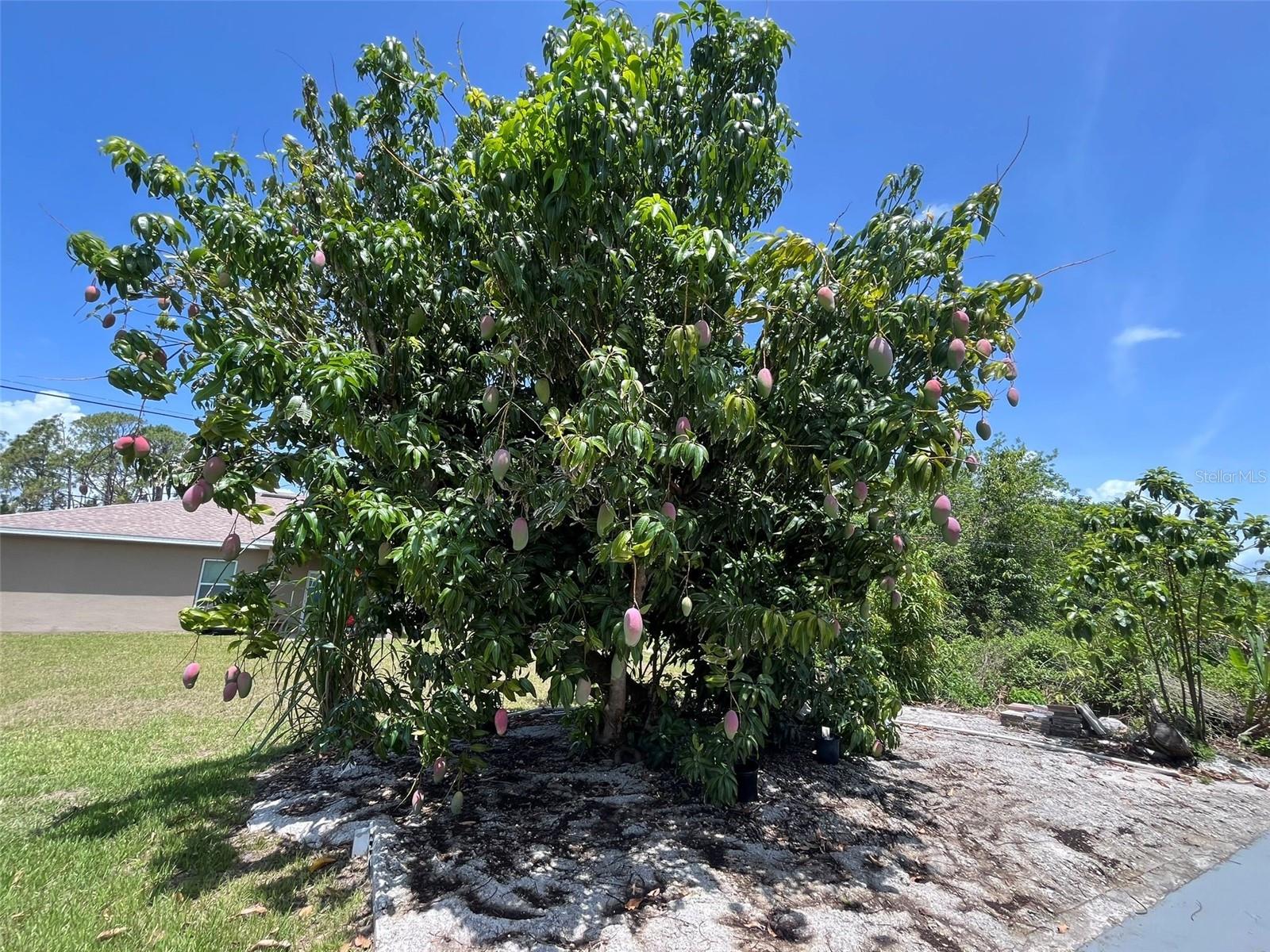 1363 ALGIERS ST, PUNTA GORDA, FL, 33980