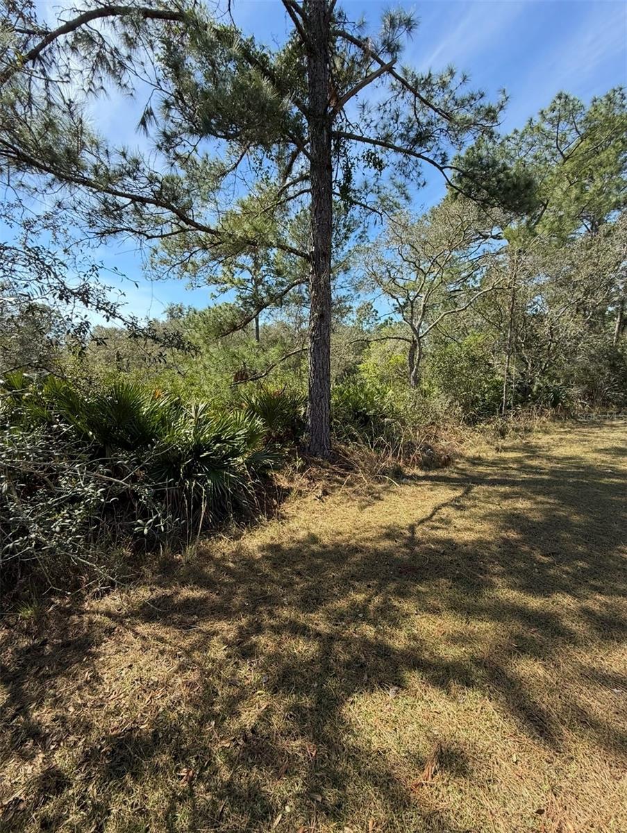 ASPEN ST, EUSTIS, FL, 32736