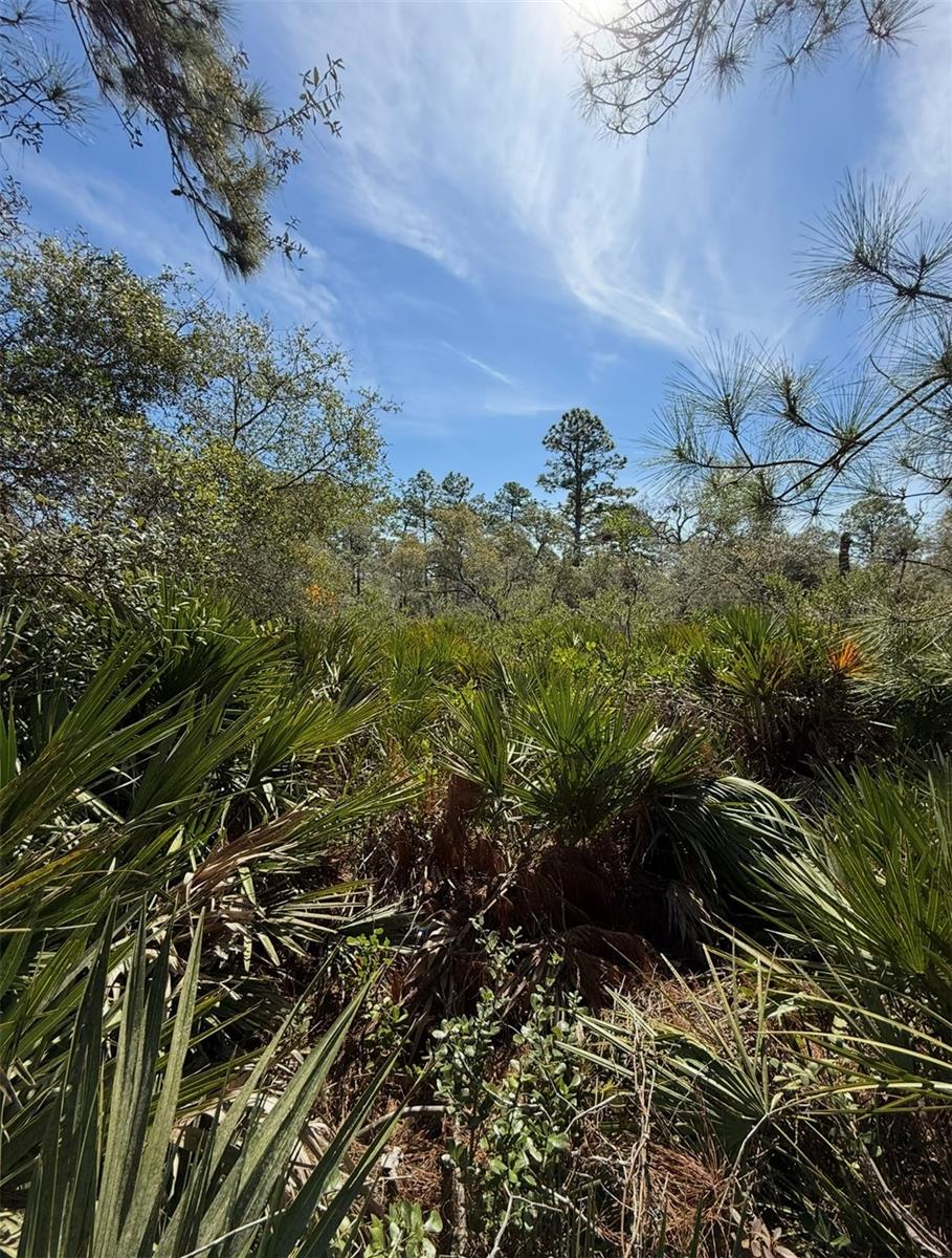 ASPEN ST, EUSTIS, FL, 32736