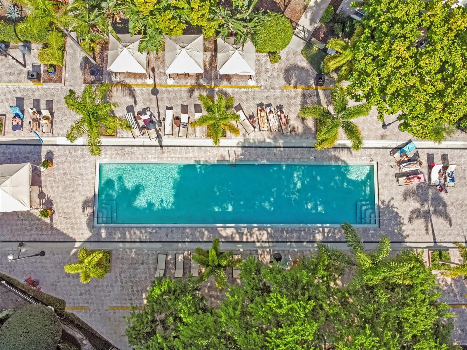 2331 W HORATIO ST #622, TAMPA, FL, 33609